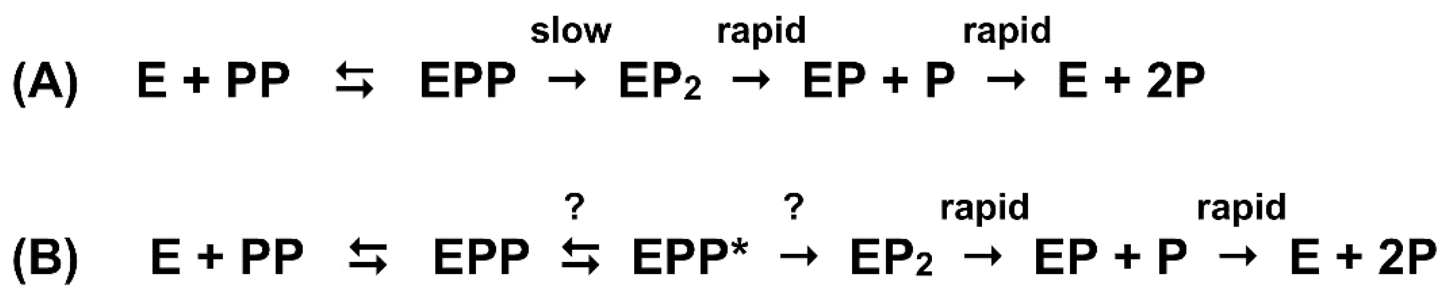 Ijms 23 09504 sch001