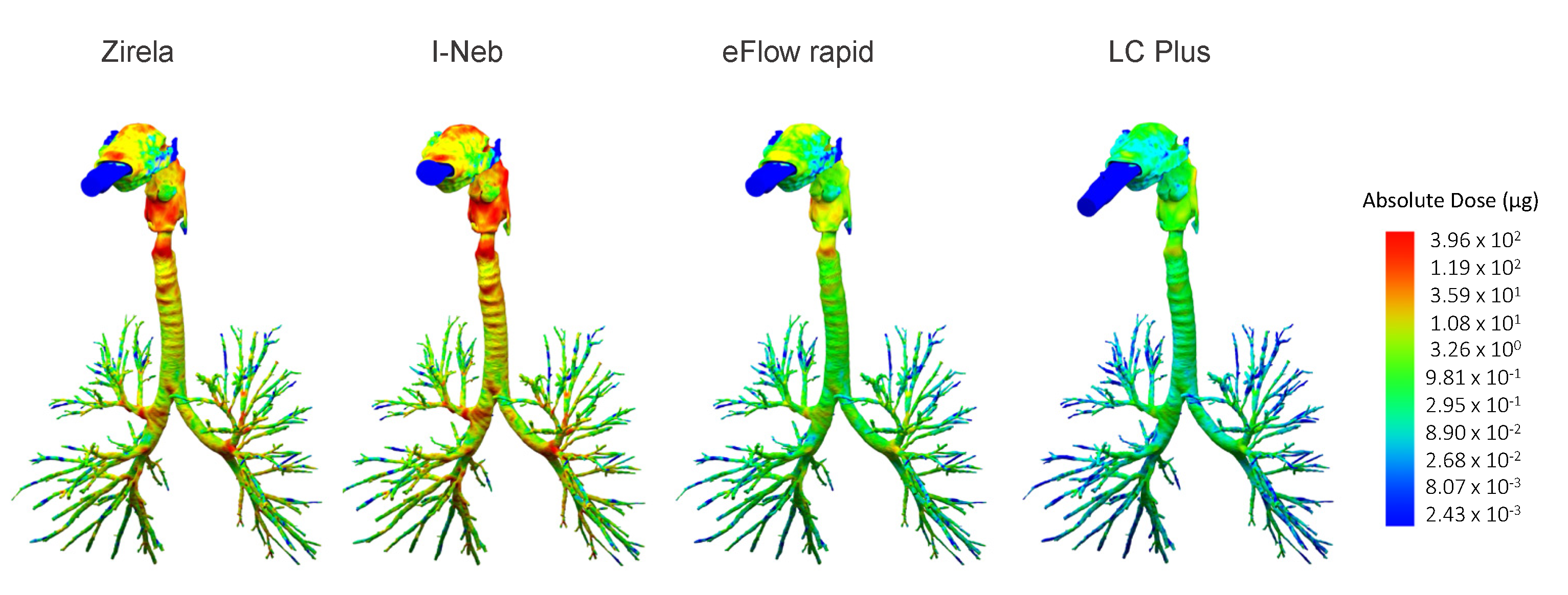 Ijms 23 09597 g003 Ijms 23 09597 g003