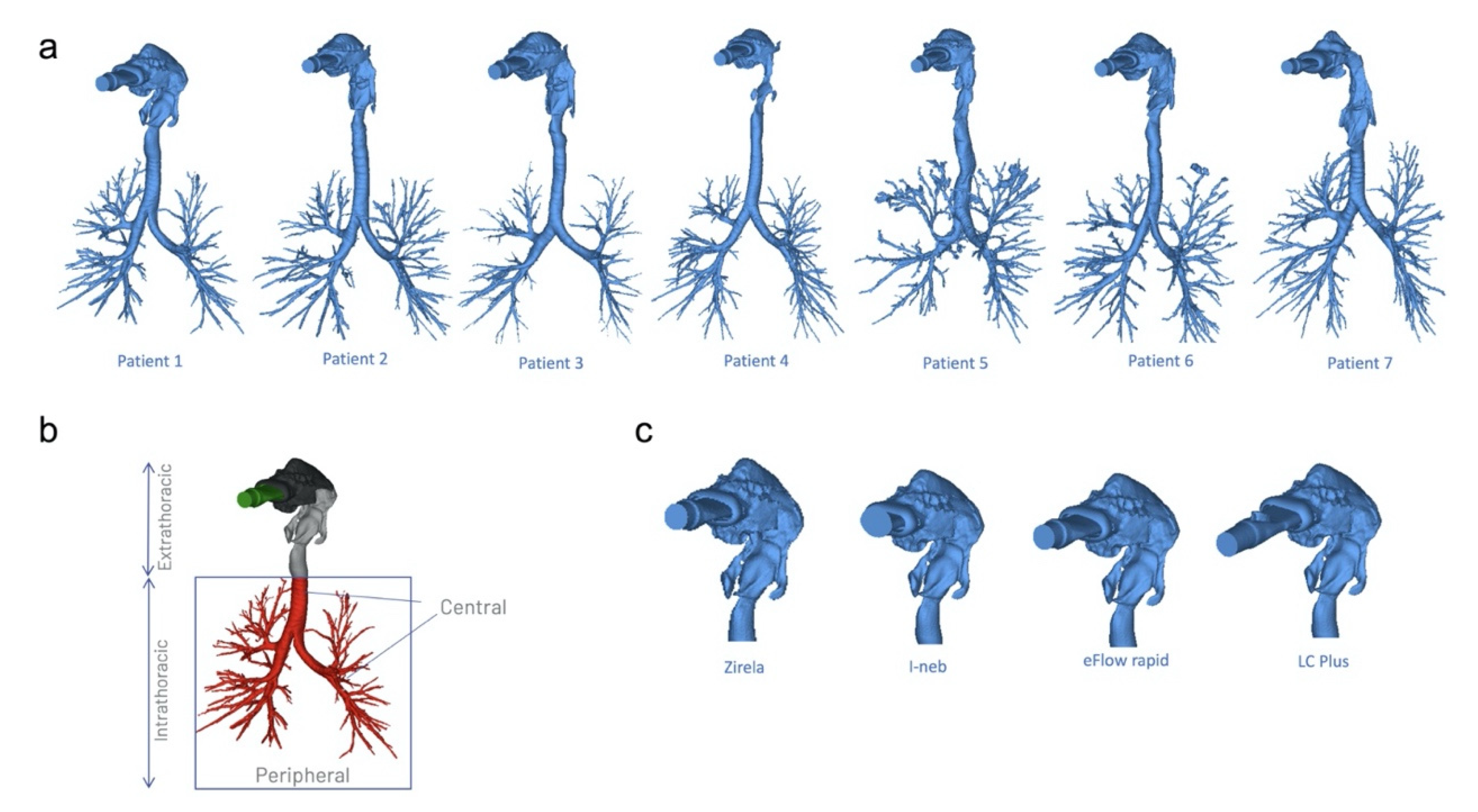 Ijms 23 09597 g005 Ijms 23 09597 g005