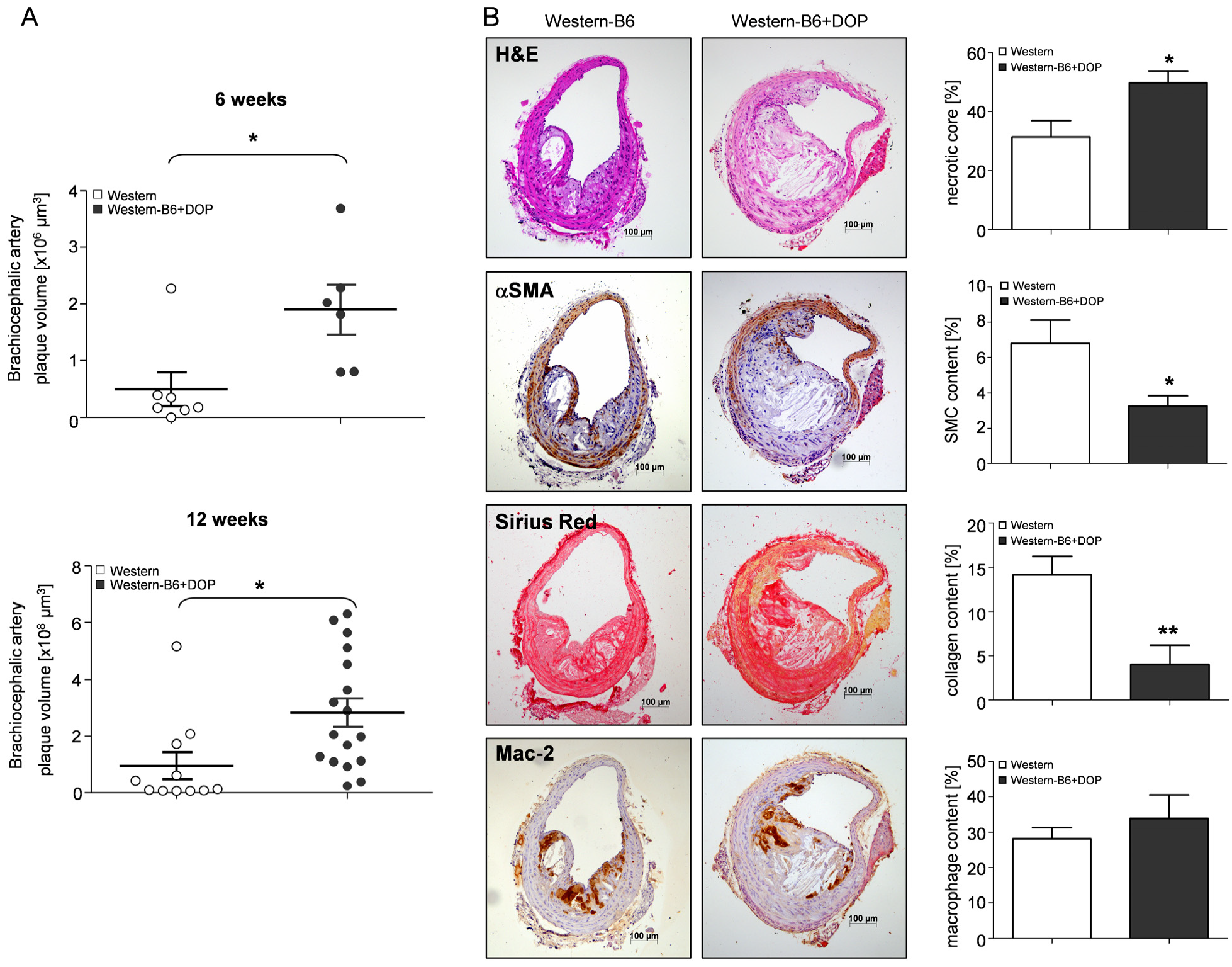 Ijms 23 09606 g002 Ijms 23 09606 g002