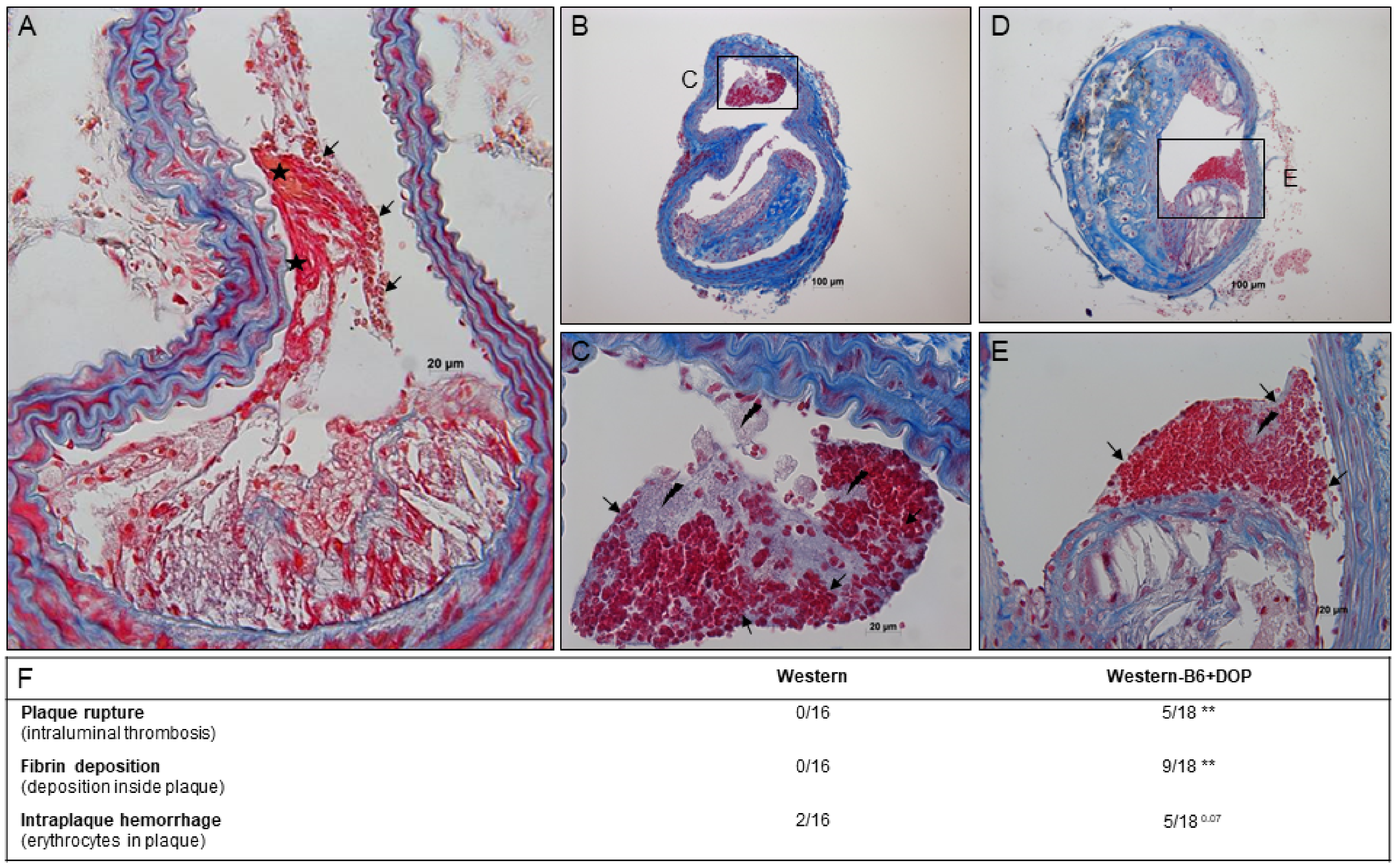 Ijms 23 09606 g004 Ijms 23 09606 g004