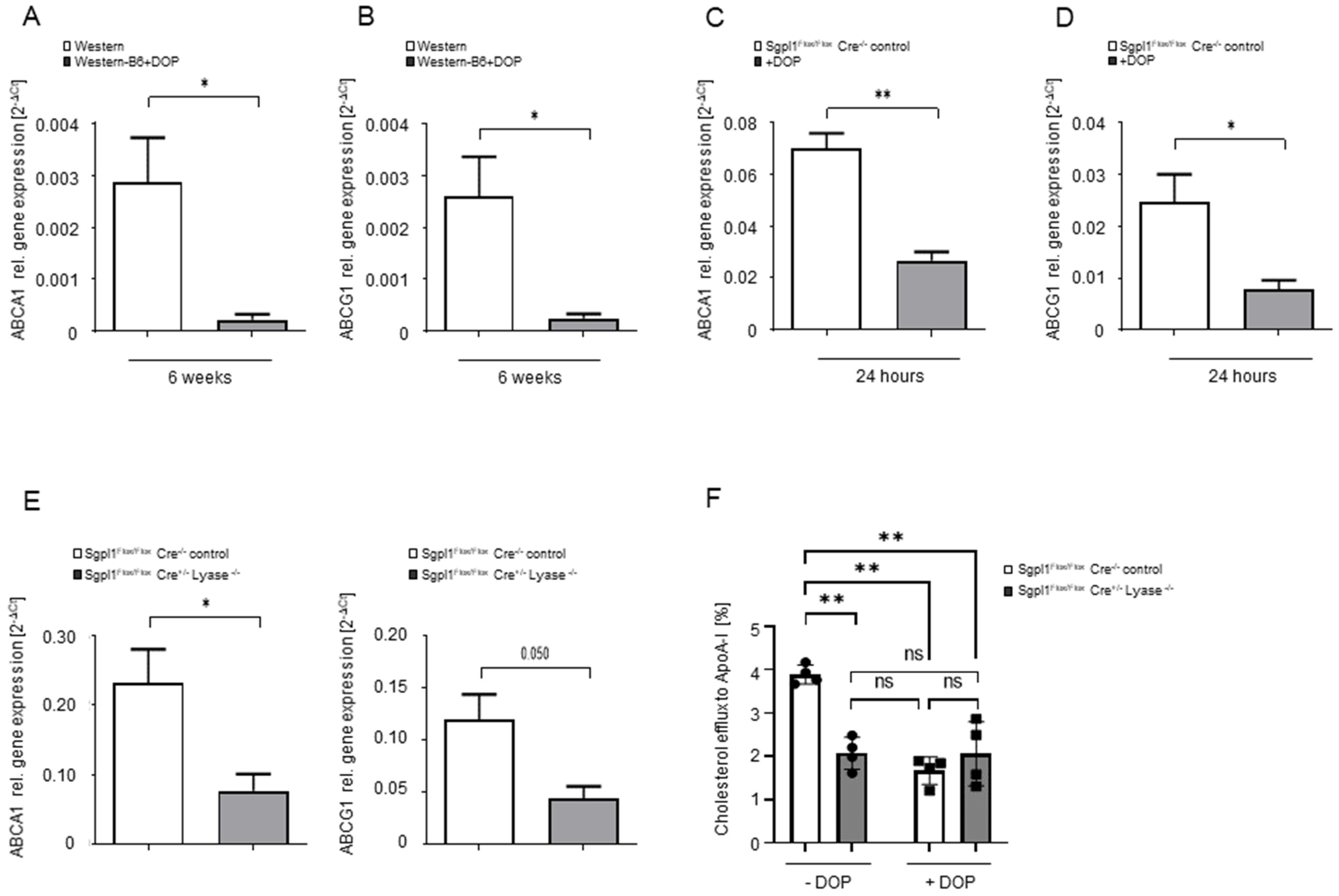 Ijms 23 09606 g006 Ijms 23 09606 g006