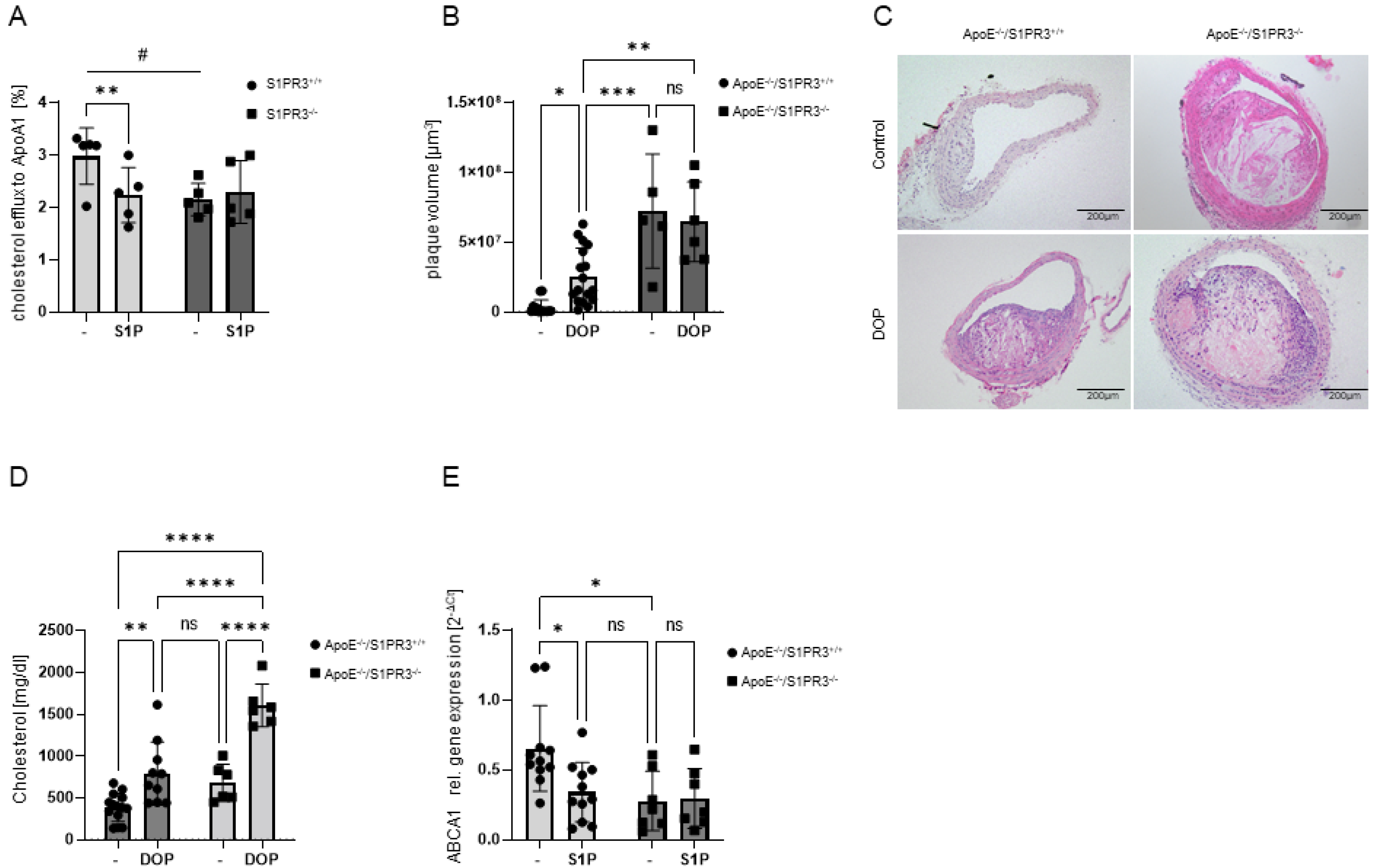 Ijms 23 09606 g007 Ijms 23 09606 g007
