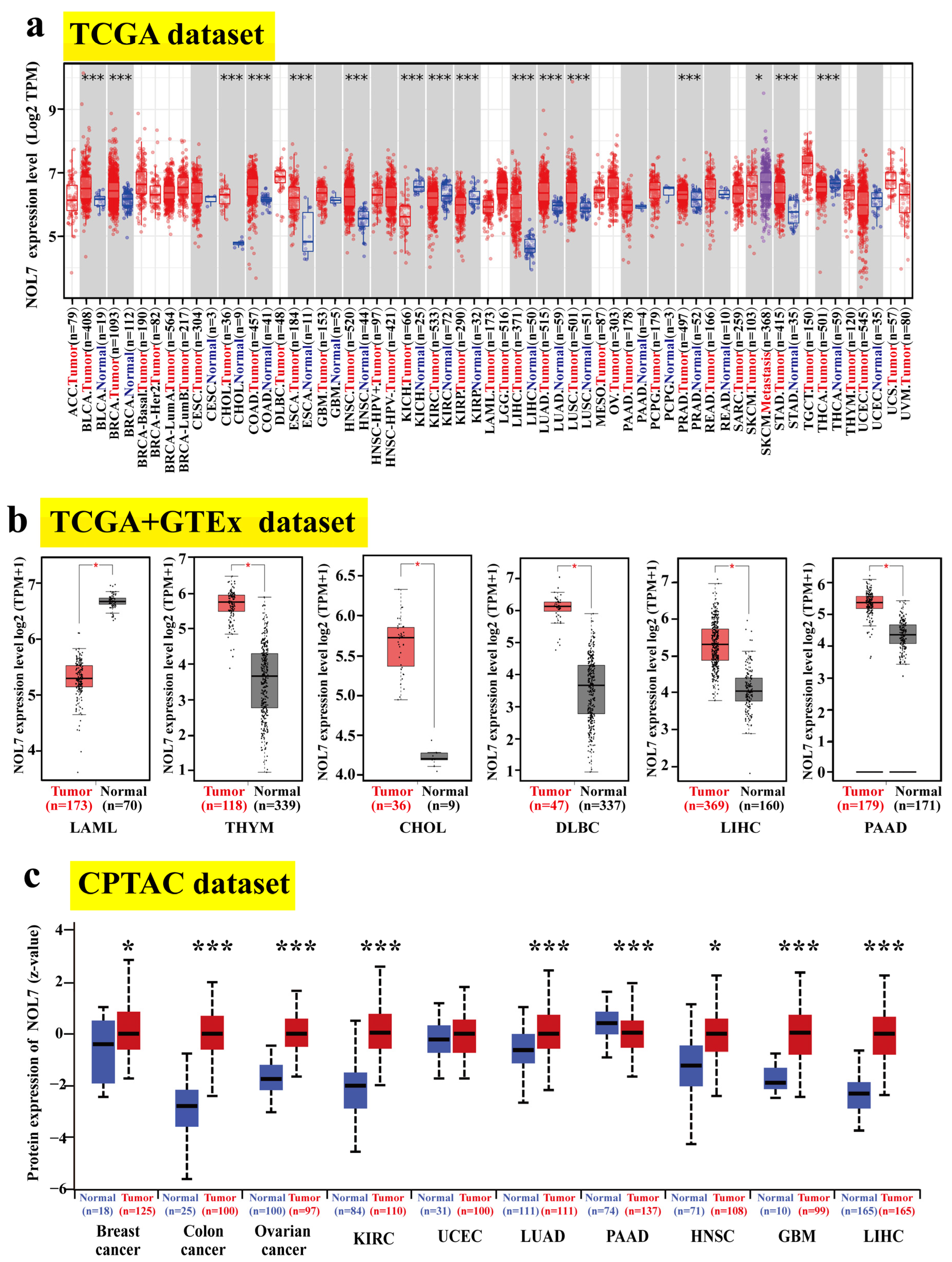 Ijms 23 09611 g001 Ijms 23 09611 g001