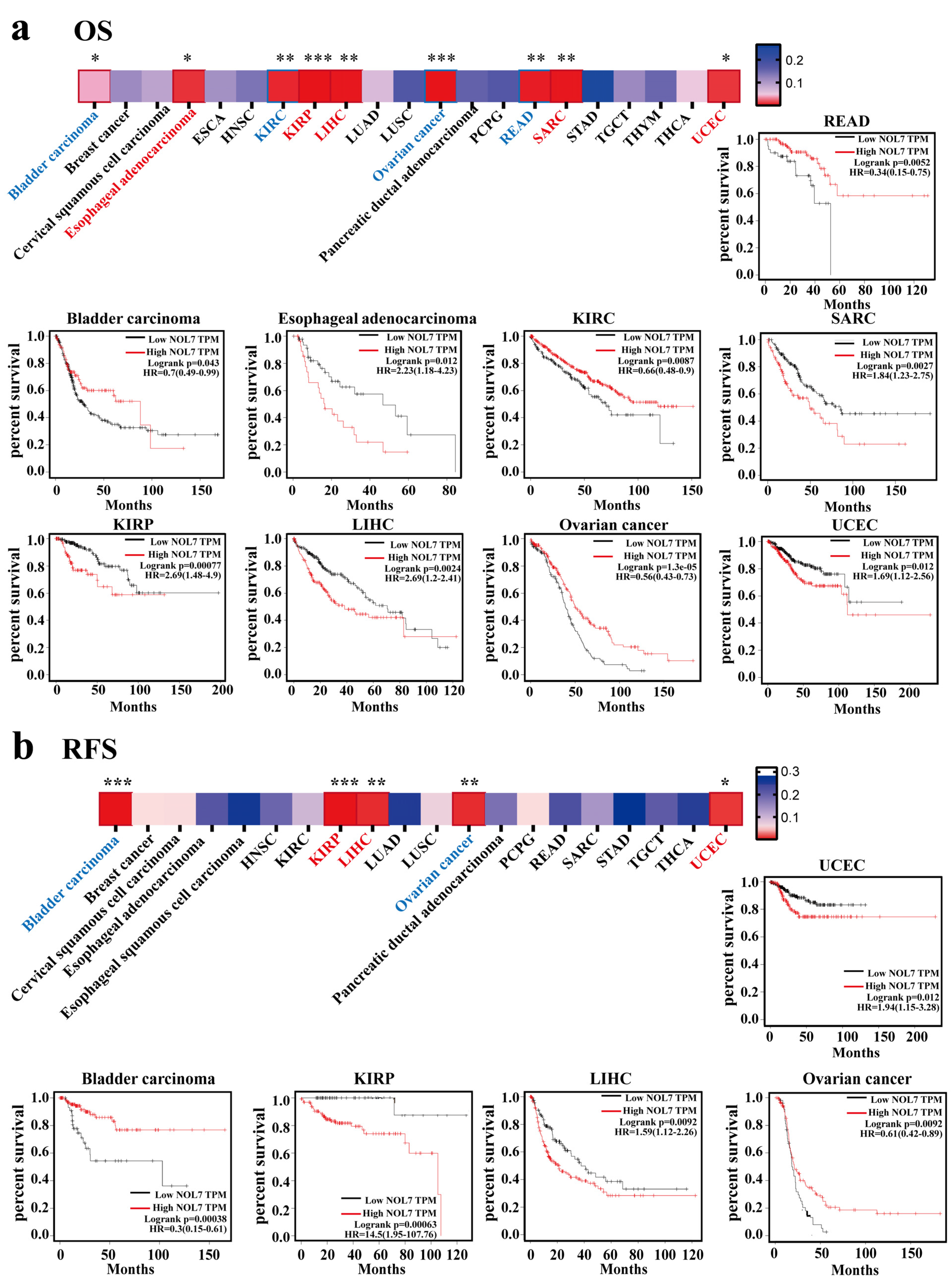 Ijms 23 09611 g003 Ijms 23 09611 g003