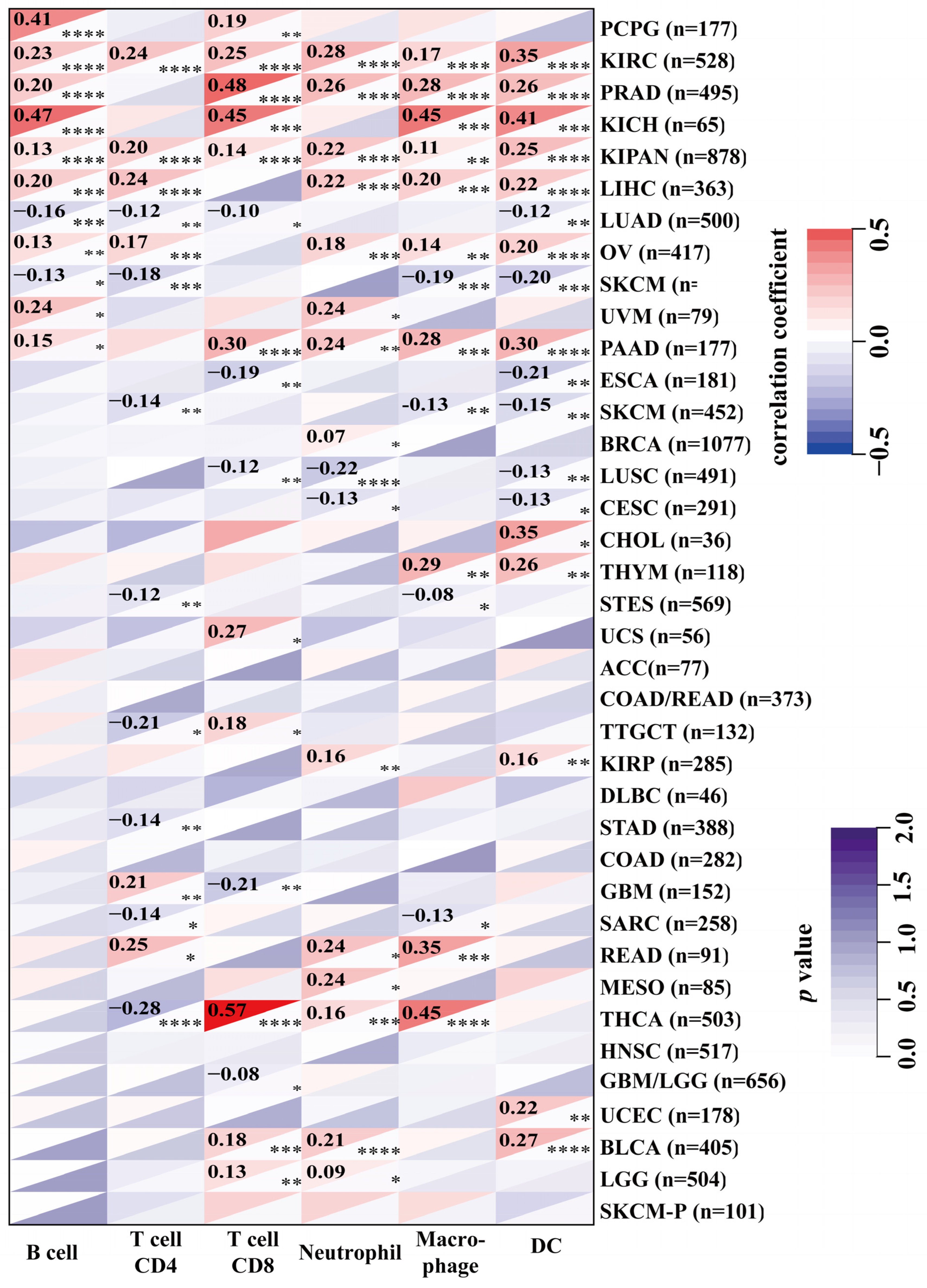 Ijms 23 09611 g005 Ijms 23 09611 g005
