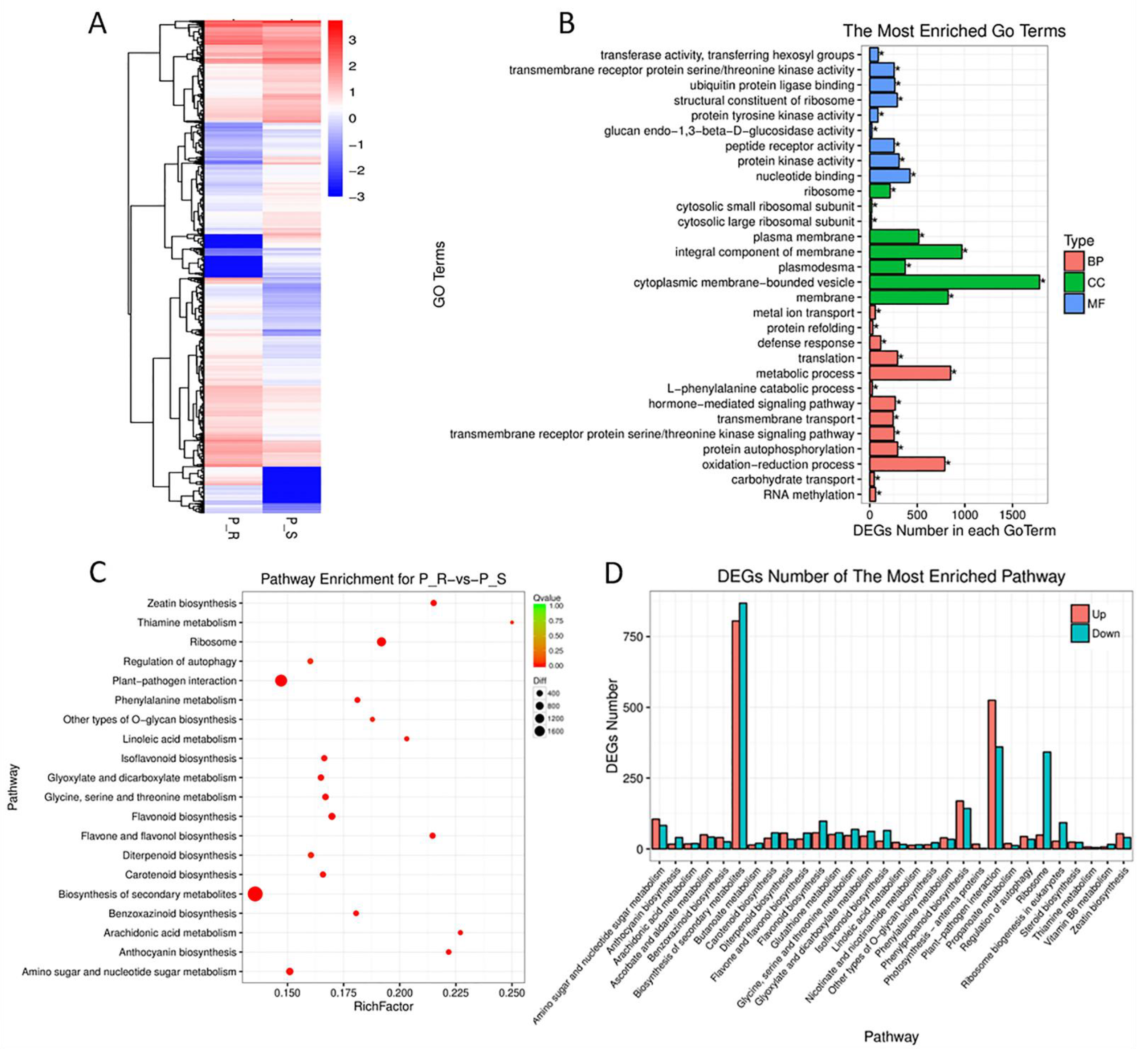 Ijms 23 09662 g005 Ijms 23 09662 g005