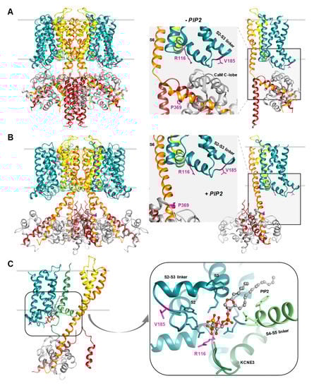 Ijms 23 09690 g0a2 550