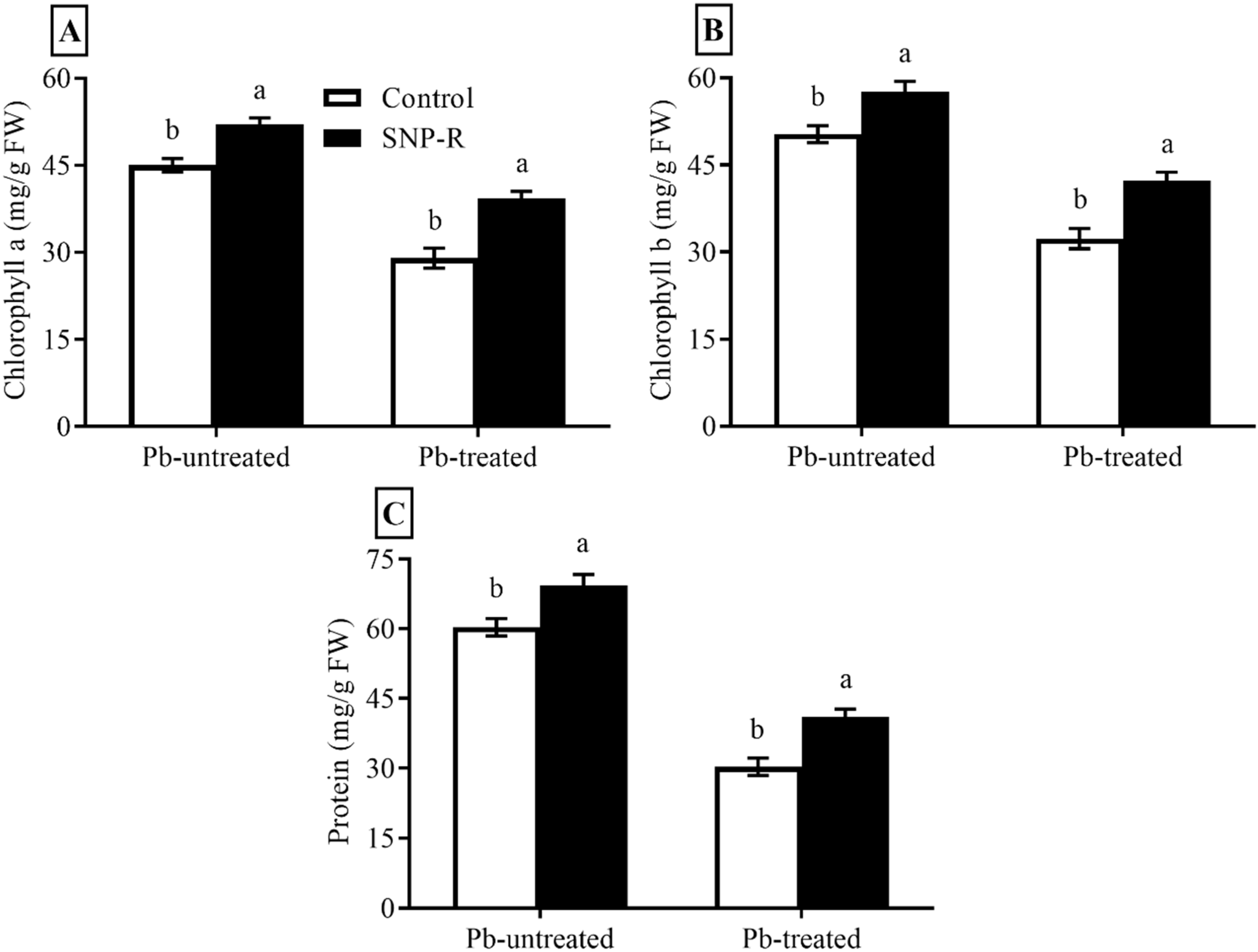 Ijms 23 09729 g002 Ijms 23 09729 g002