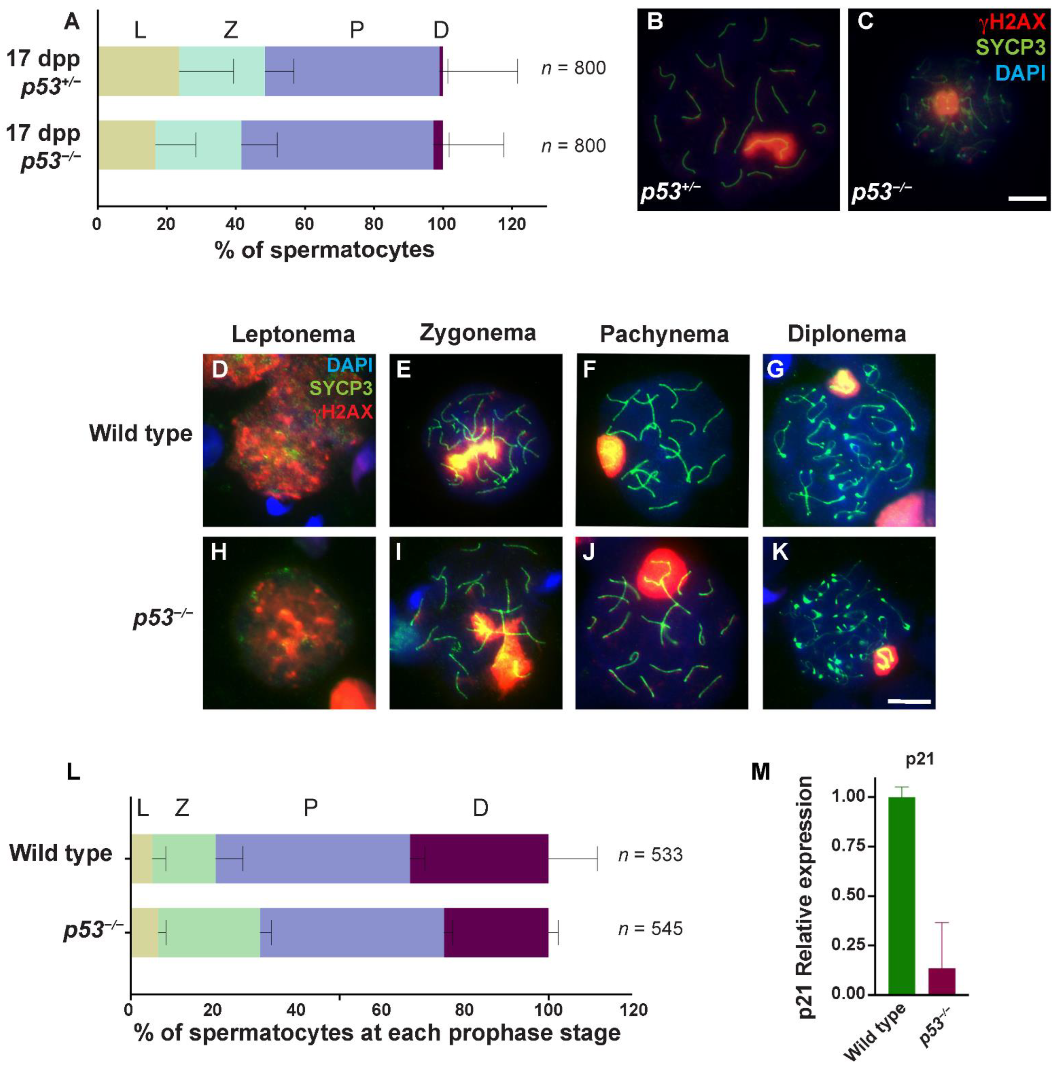 Ijms 23 09818 g002 Ijms 23 09818 g002