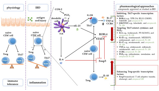 Ijms 23 09897 g010 550