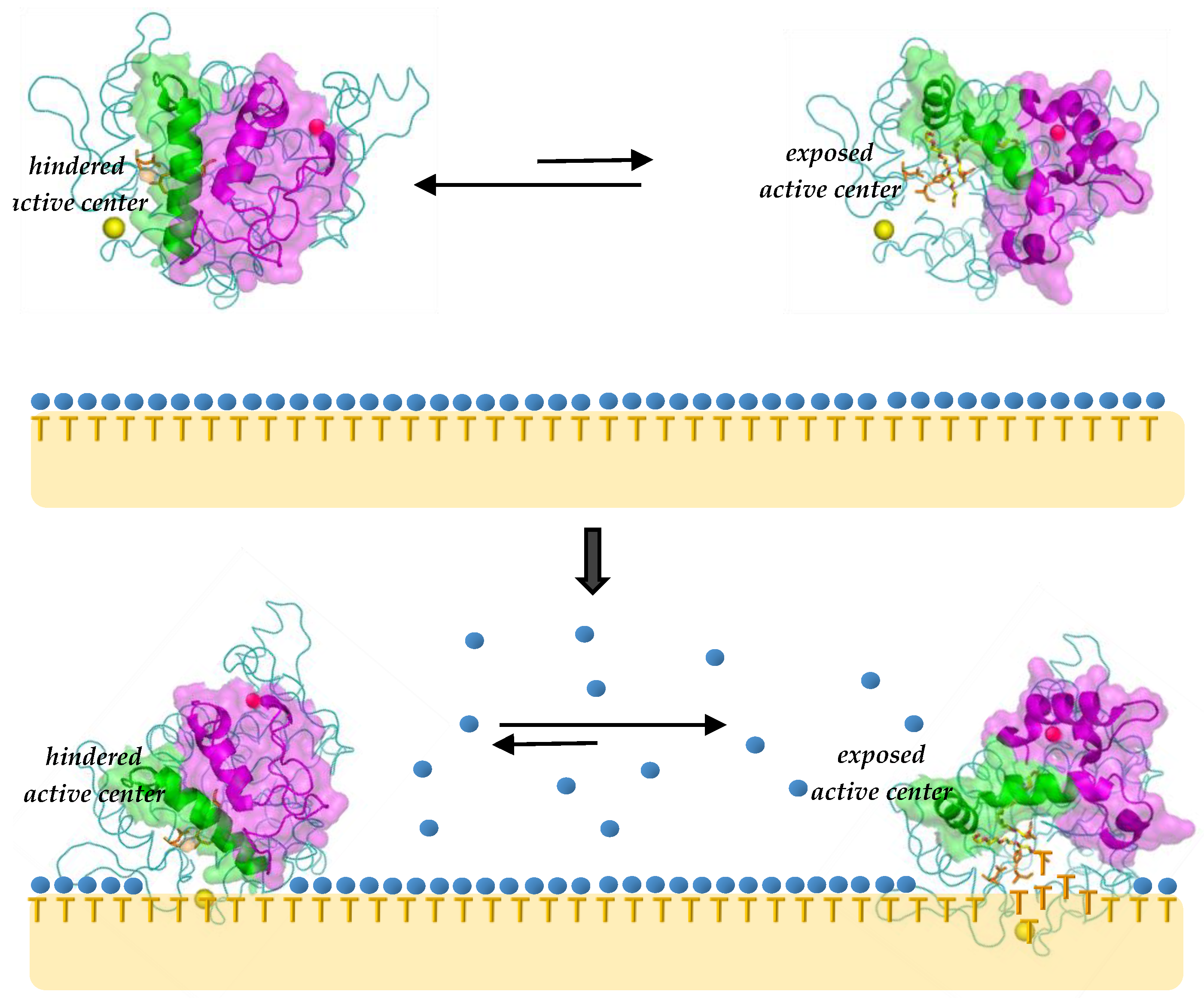 Ijms 23 09933 g002 Ijms 23 09933 g002