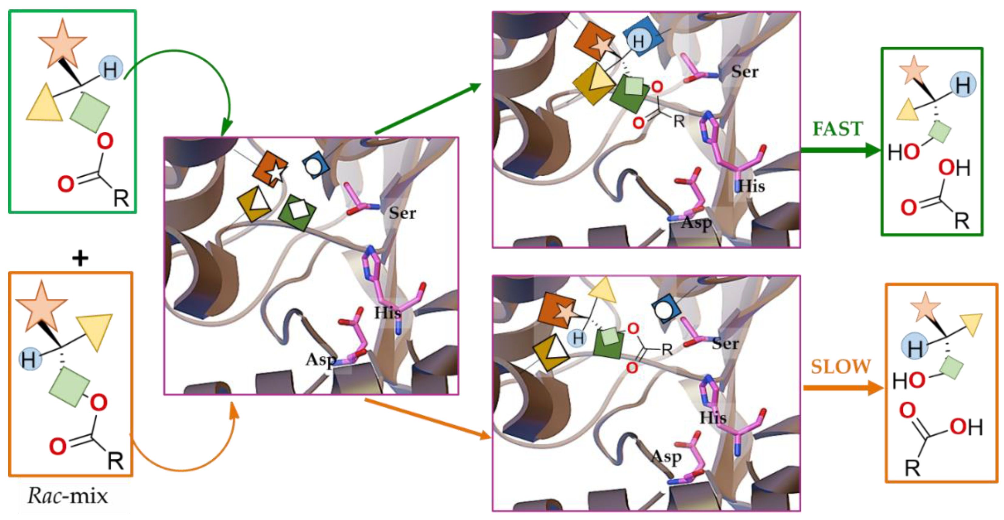 Ijms 23 09933 g005 Ijms 23 09933 g005