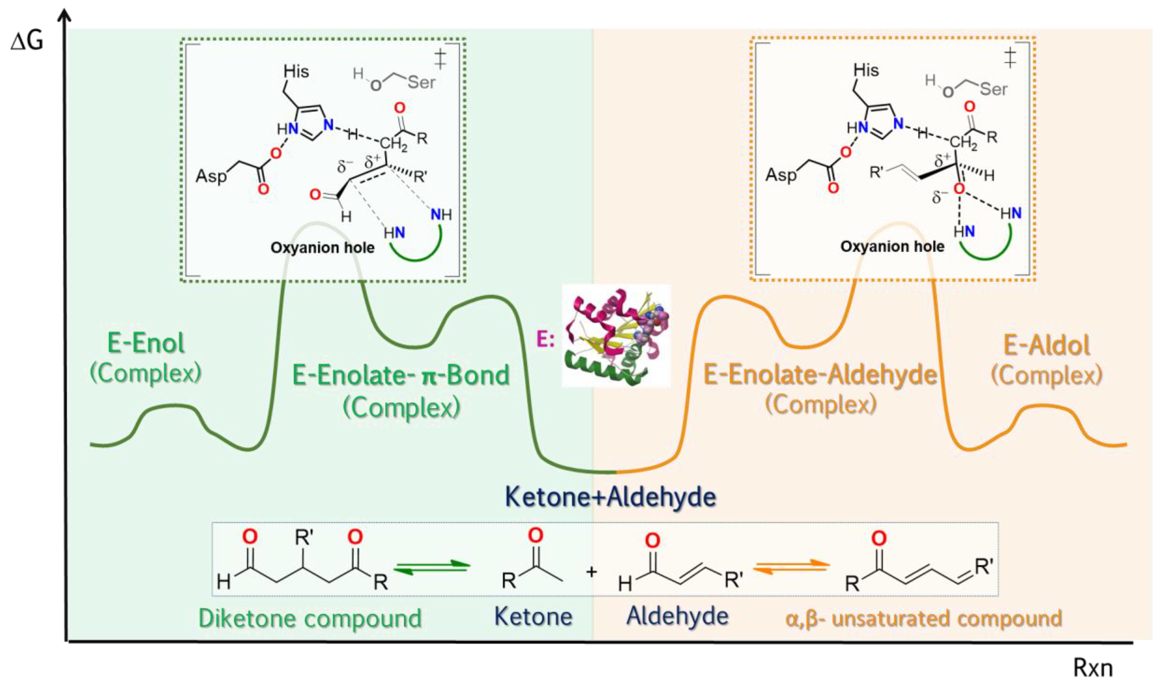 Ijms 23 09933 g007 Ijms 23 09933 g007
