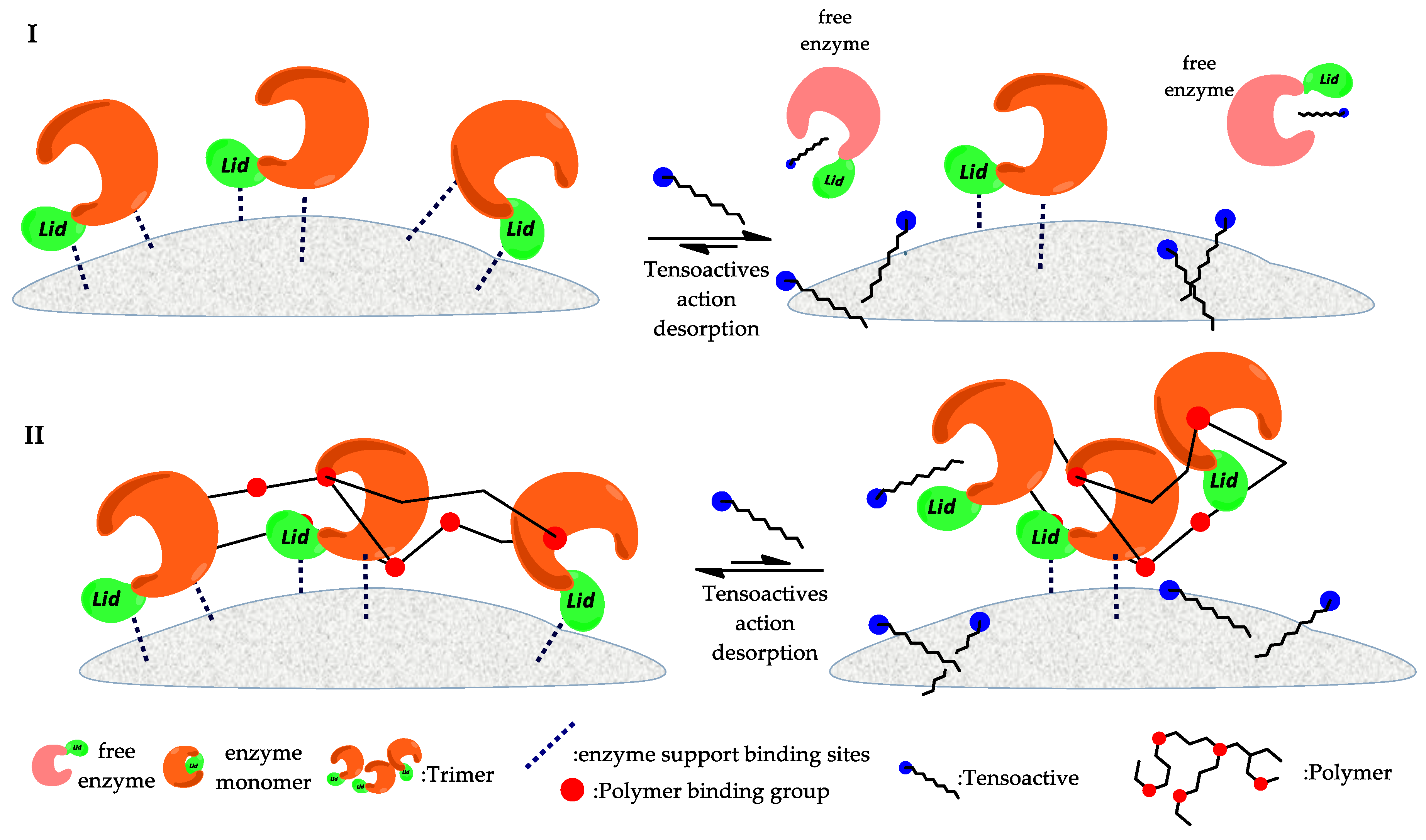 Ijms 23 09933 g008 Ijms 23 09933 g008