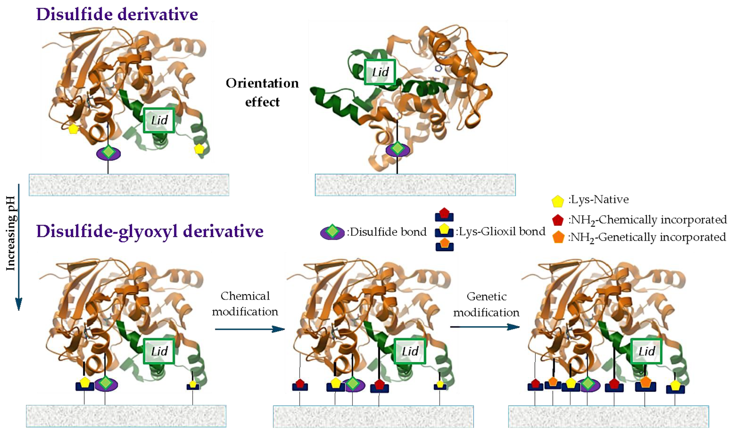 Ijms 23 09933 g009 Ijms 23 09933 g009