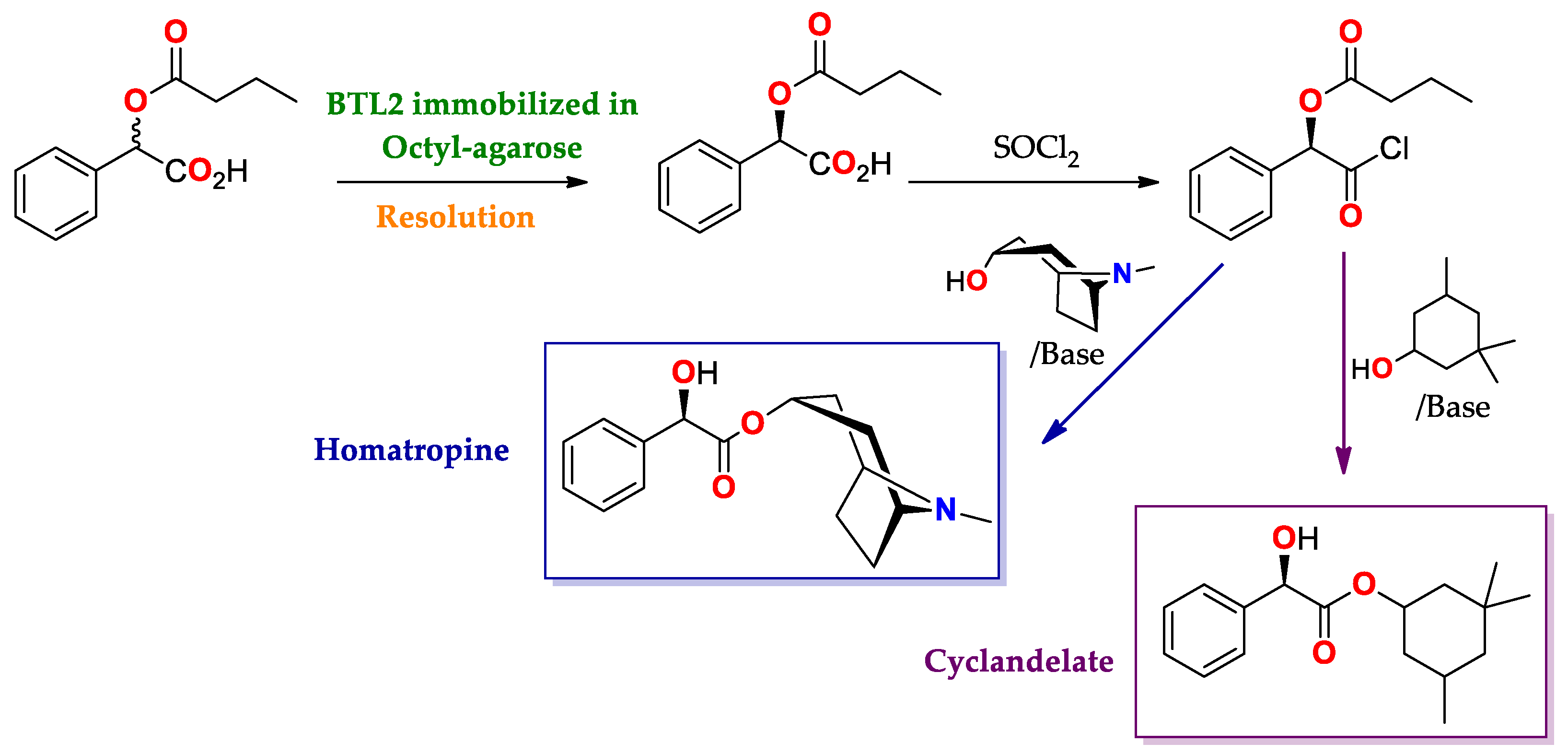Ijms 23 09933 sch008 Ijms 23 09933 sch008