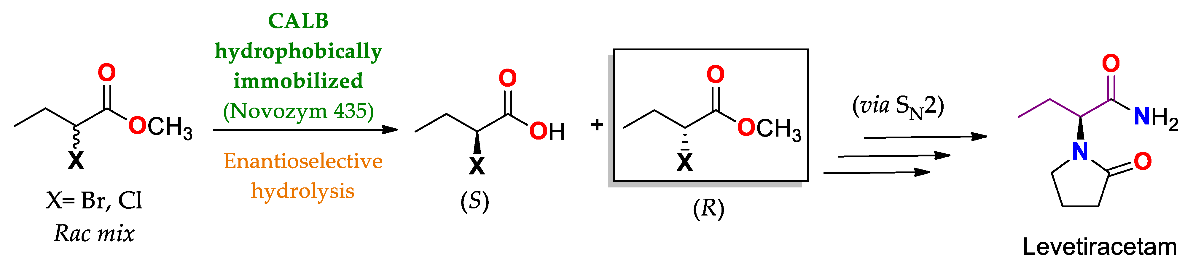 Ijms 23 09933 sch010 Ijms 23 09933 sch010