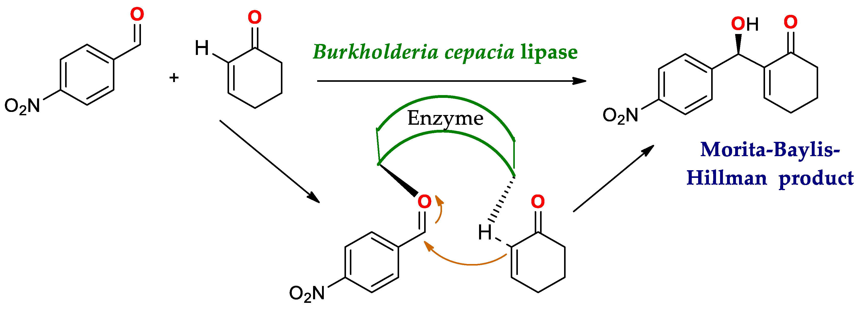 Ijms 23 09933 sch016 Ijms 23 09933 sch016