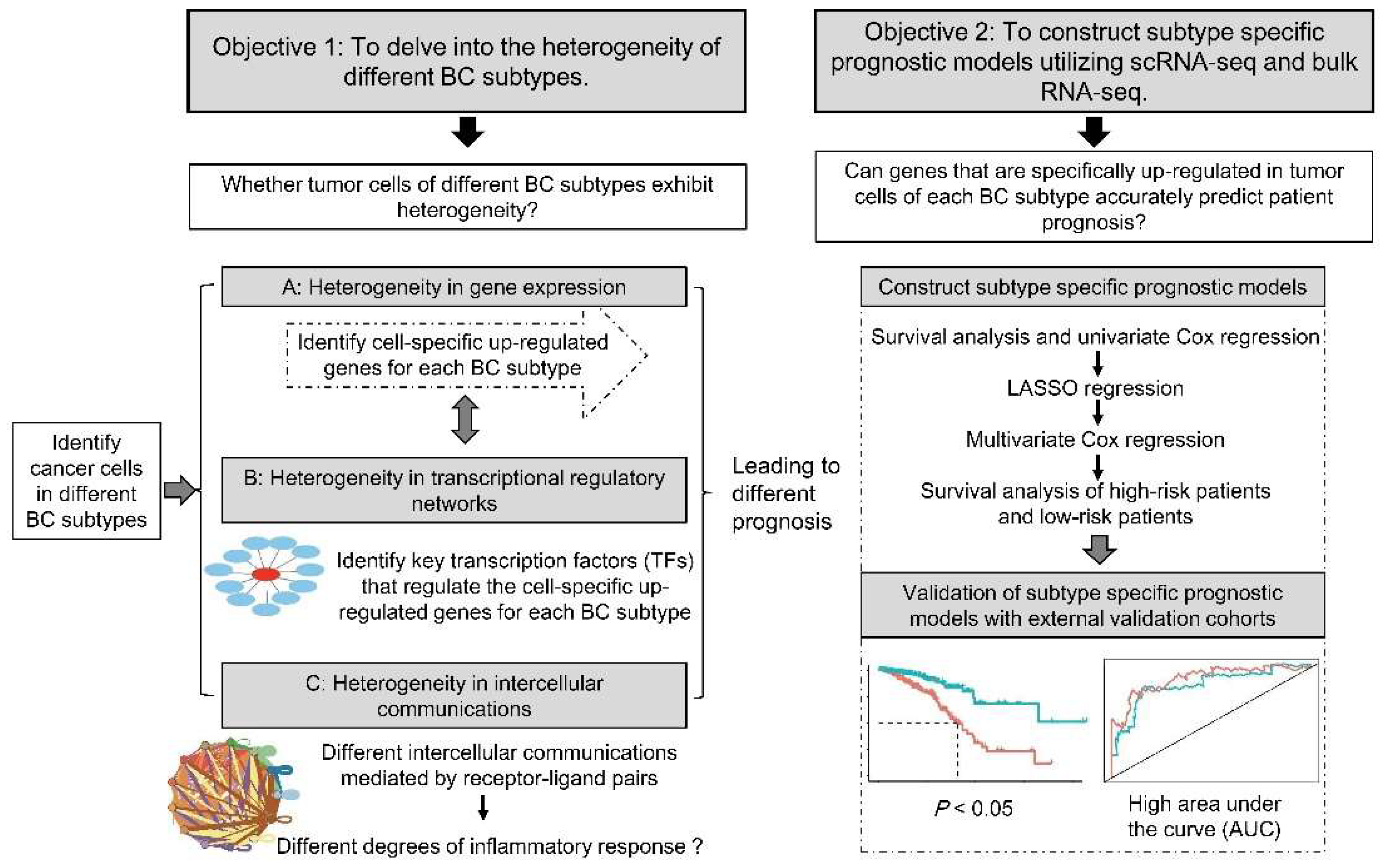 Delving into the Heterogeneity of Different Breast Cancer Subtypes and ...