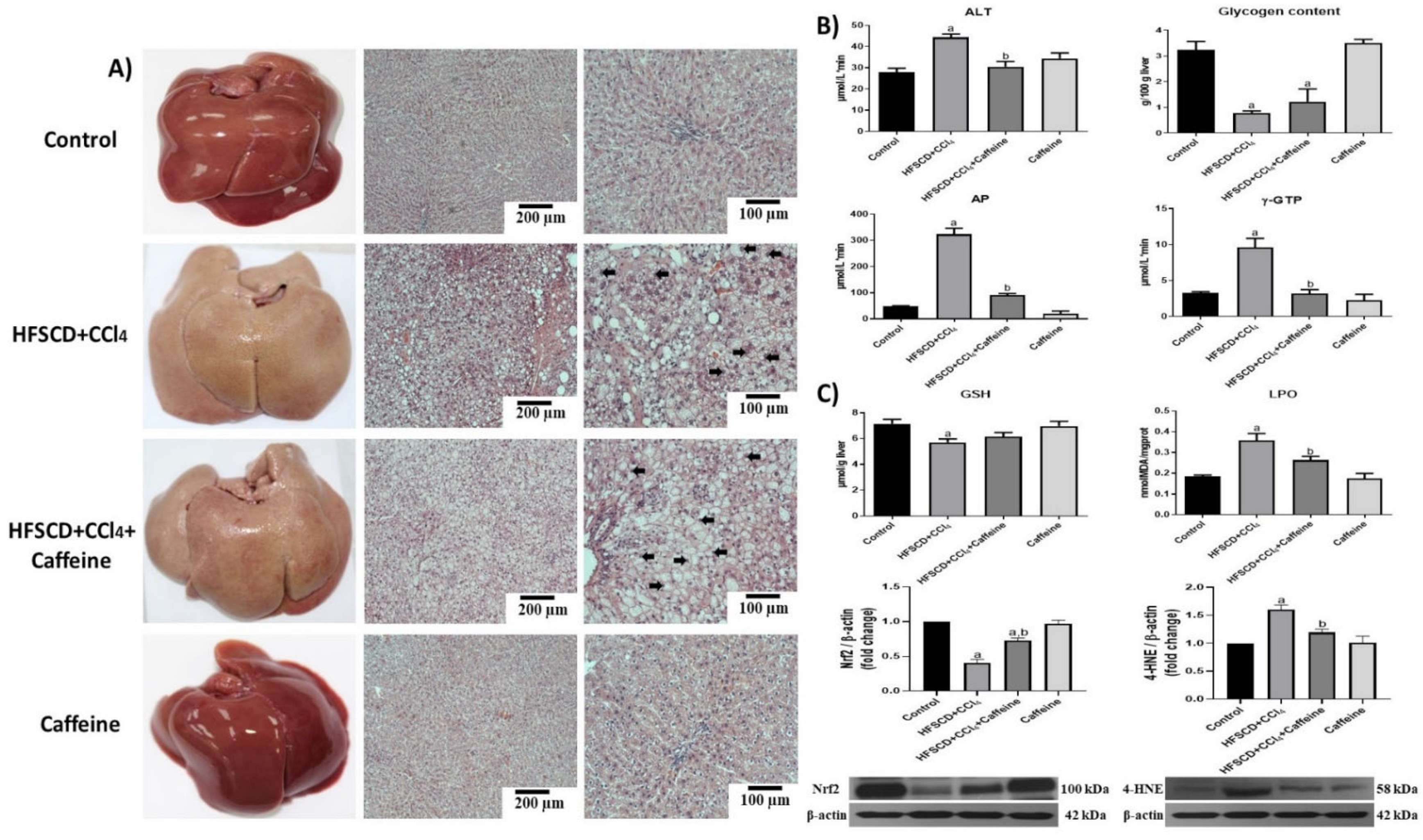Ijms 23 09954 g001 Ijms 23 09954 g001
