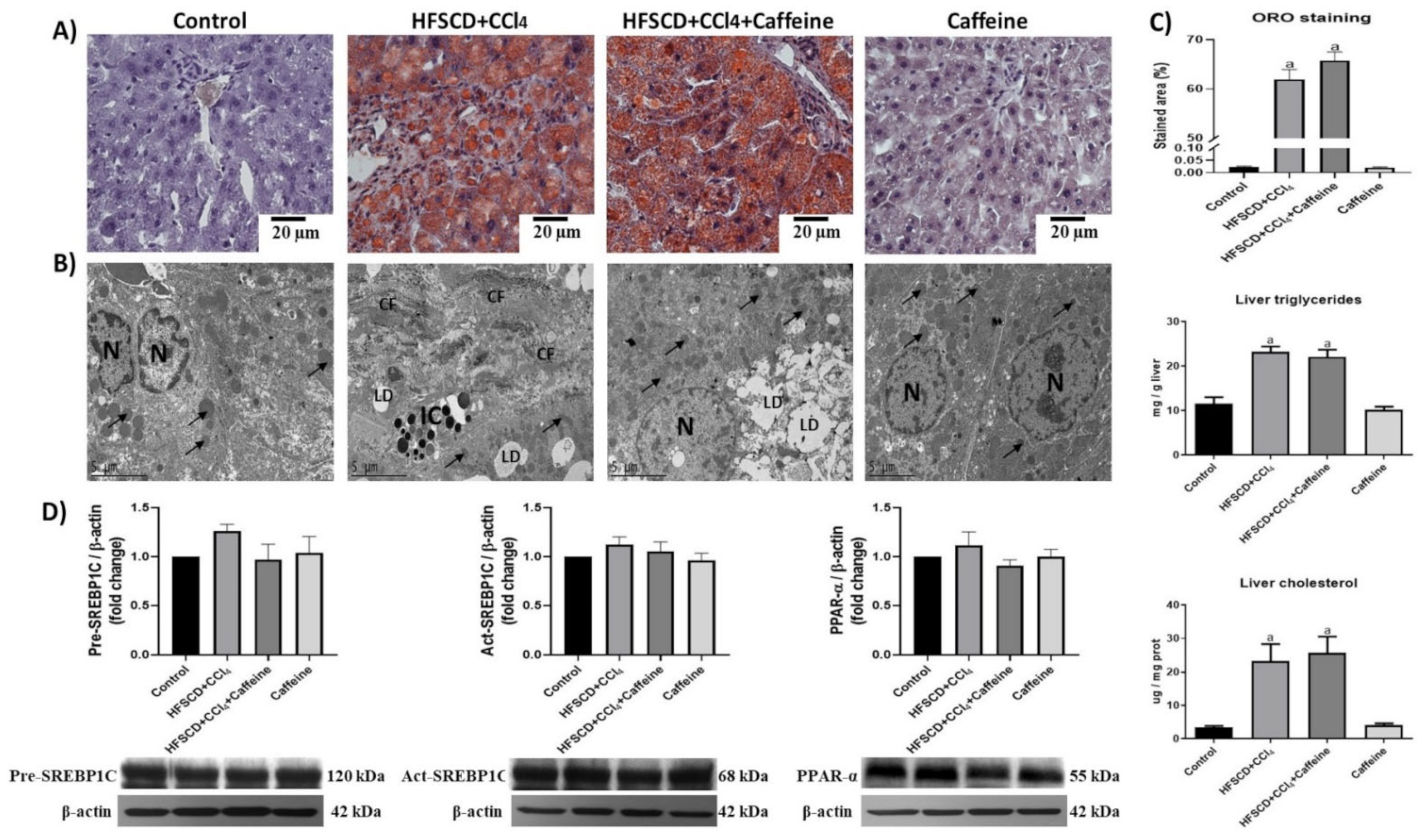 Ijms 23 09954 g002 Ijms 23 09954 g002