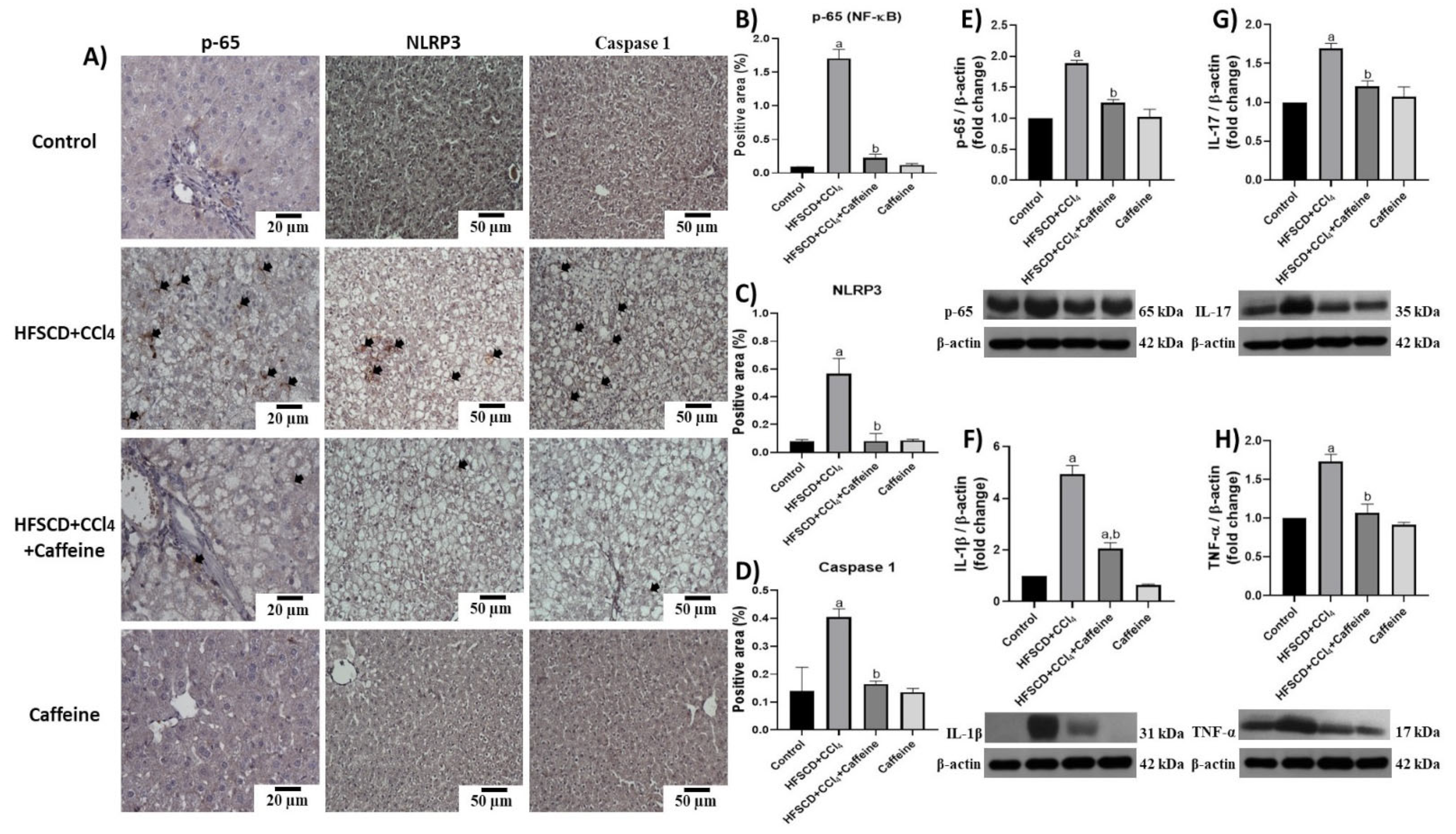 Ijms 23 09954 g004 Ijms 23 09954 g004