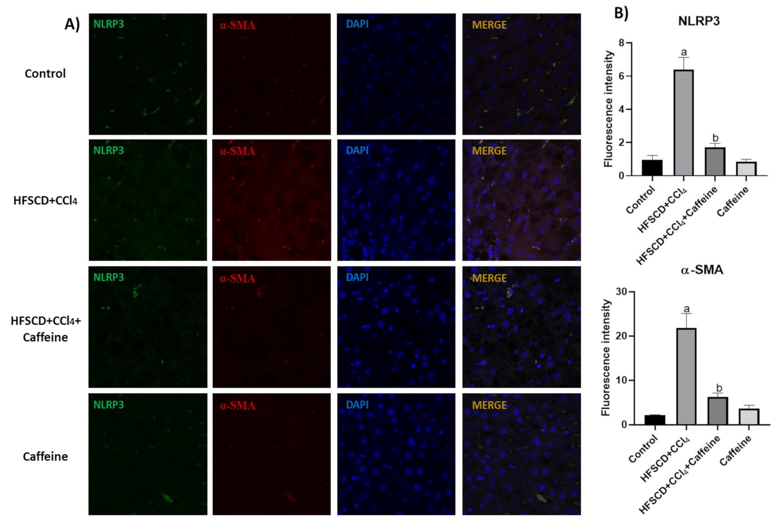 Ijms 23 09954 g006 Ijms 23 09954 g006