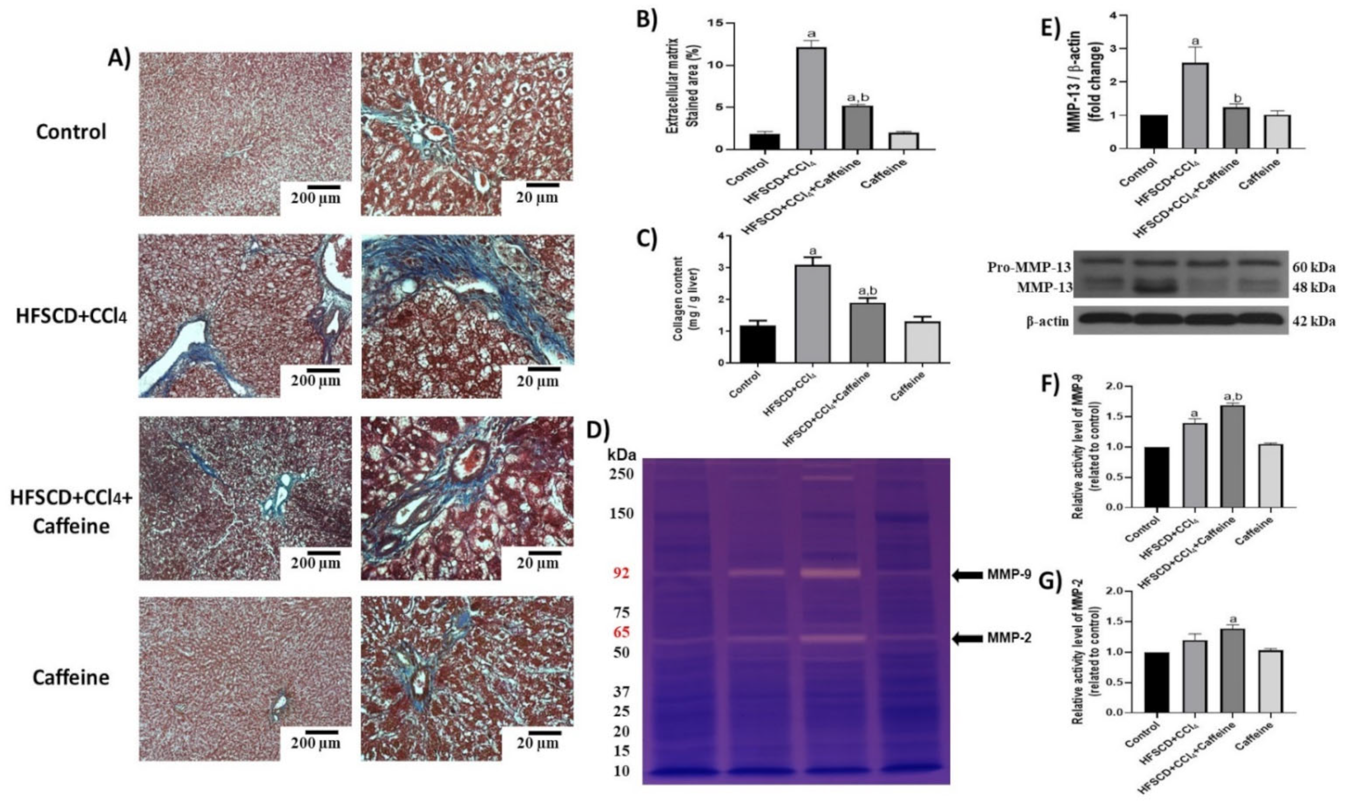 Ijms 23 09954 g007 Ijms 23 09954 g007