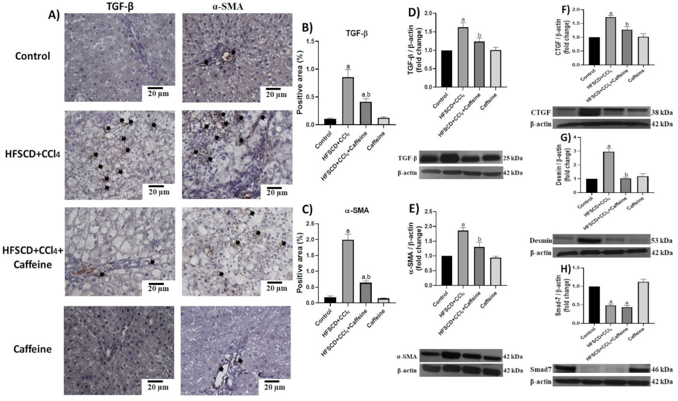 Ijms 23 09954 g008 Ijms 23 09954 g008