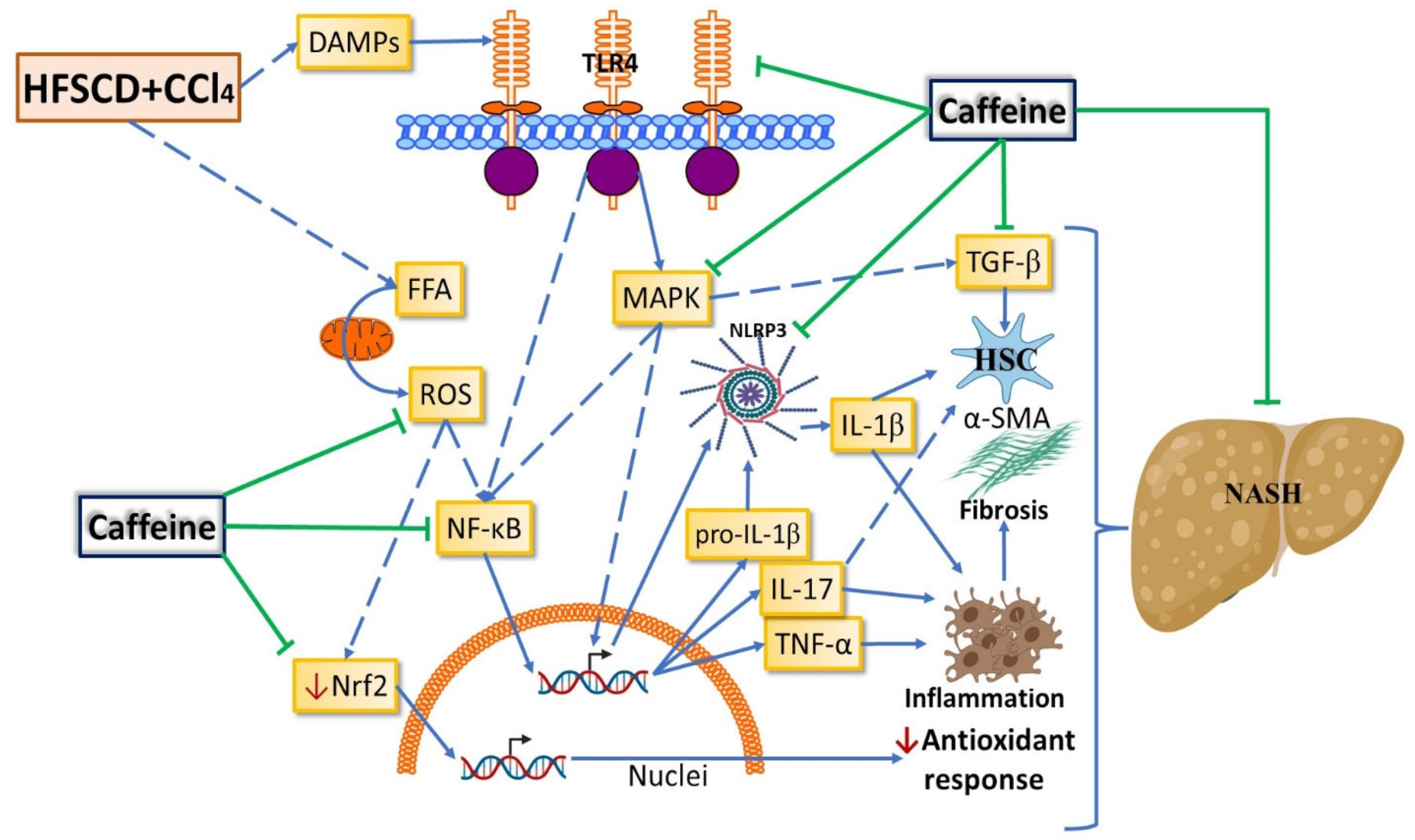 Ijms 23 09954 g009 Ijms 23 09954 g009