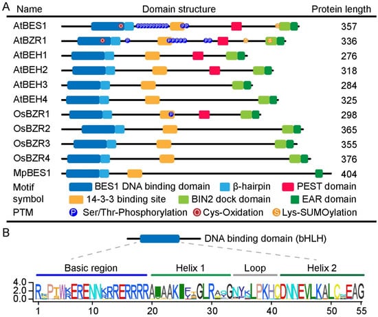 Ijms 23 10149 g002 550