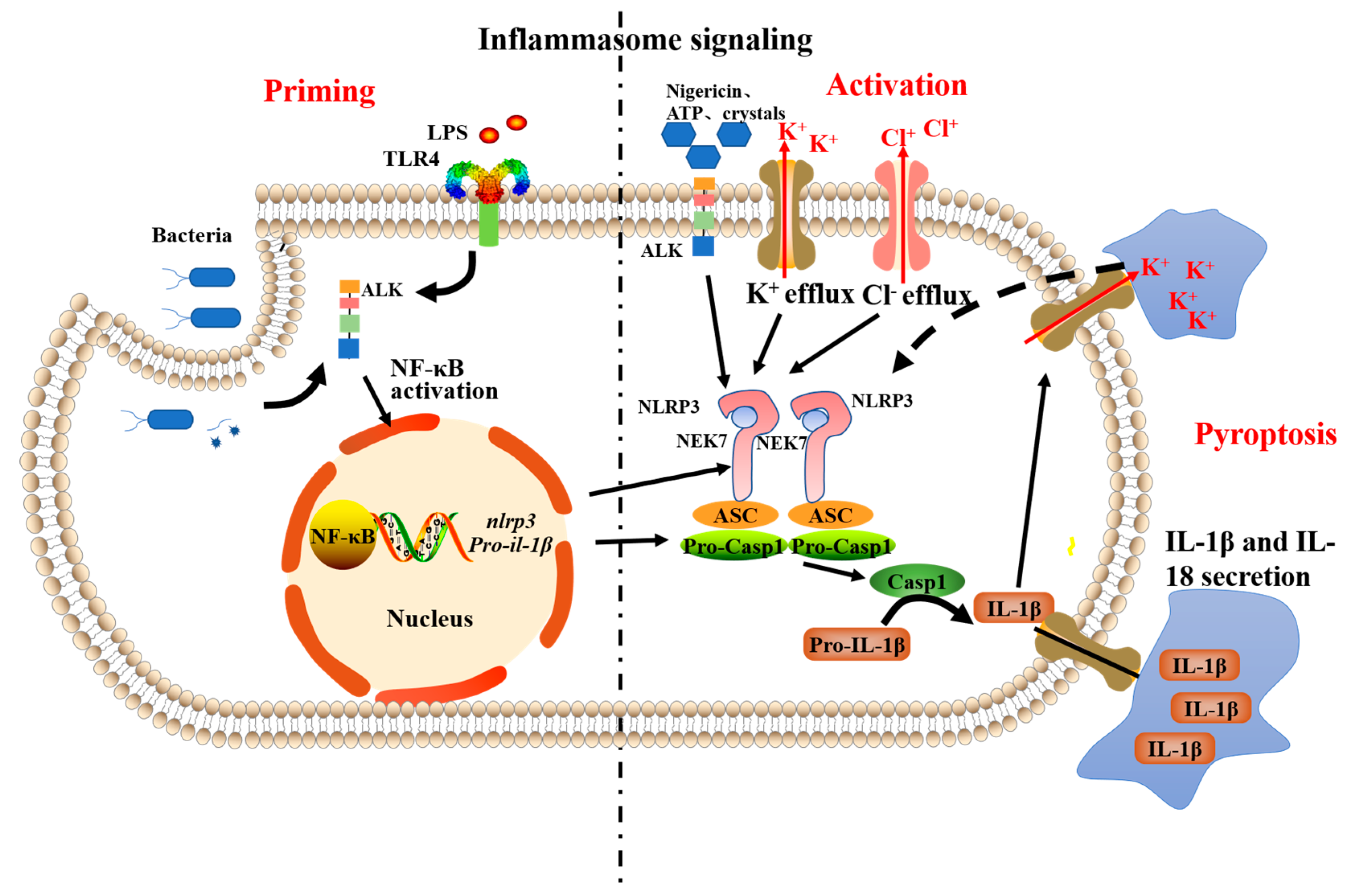 Ijms 23 10168 sch001