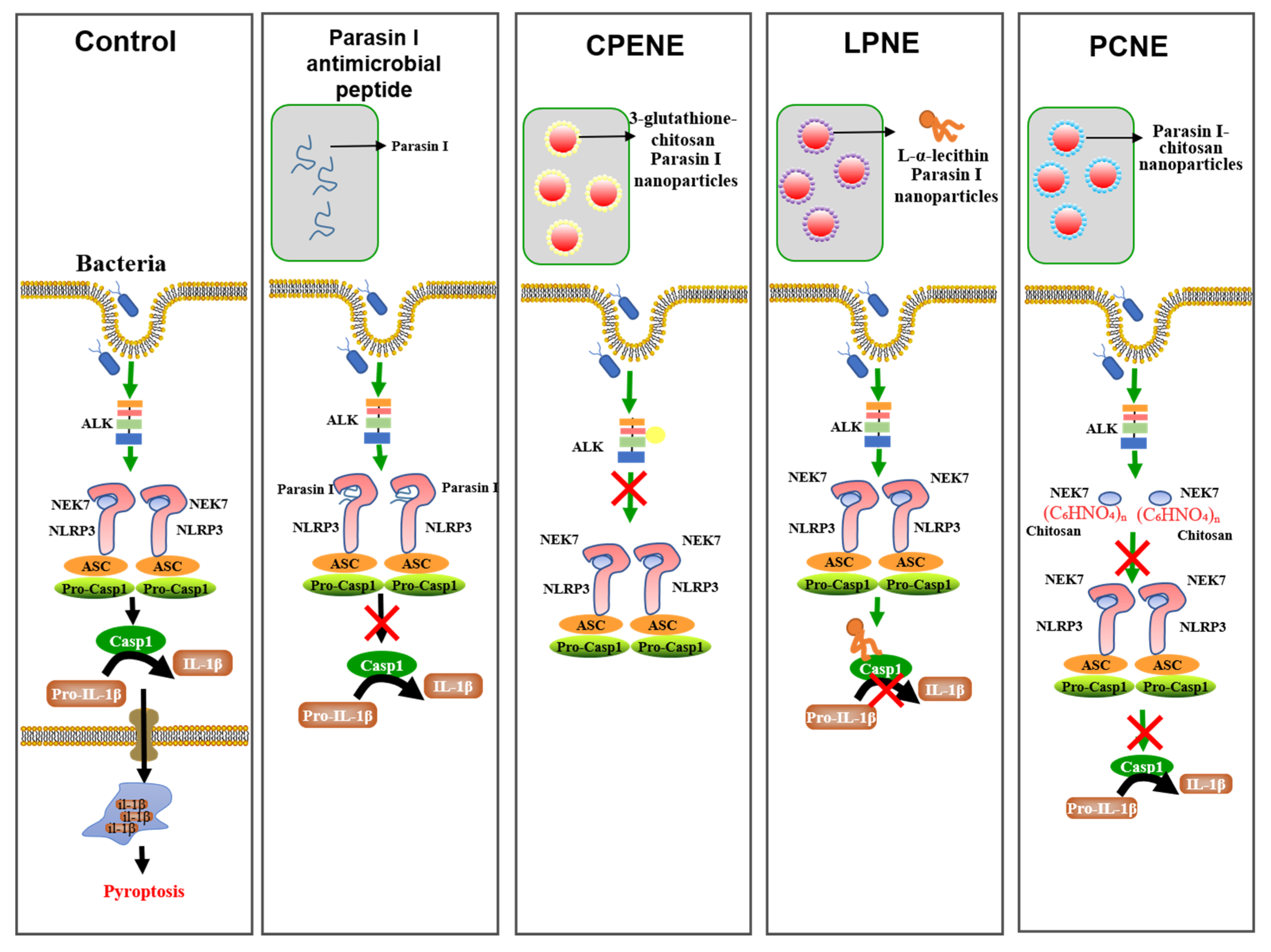 Ijms 23 10168 sch002