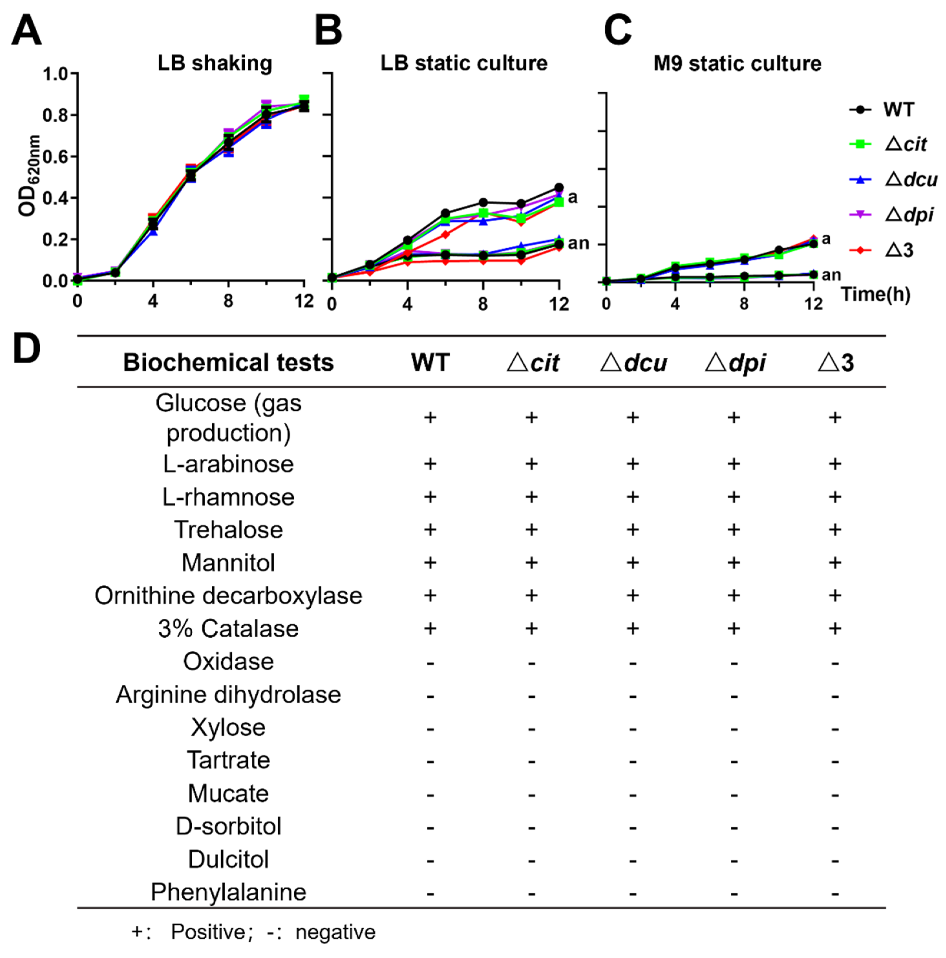 Ijms 23 10201 g001 Ijms 23 10201 g001