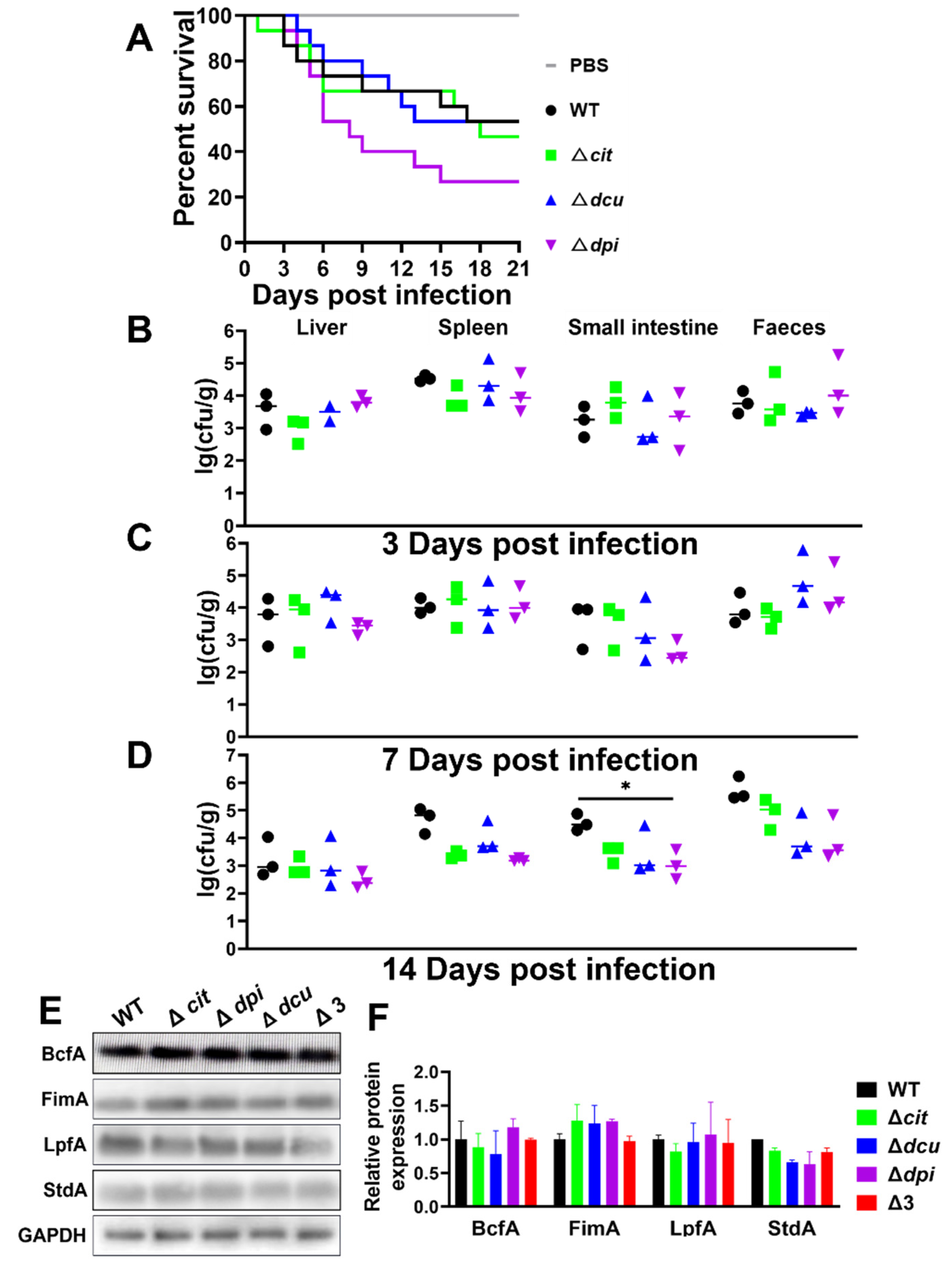Ijms 23 10201 g005 Ijms 23 10201 g005