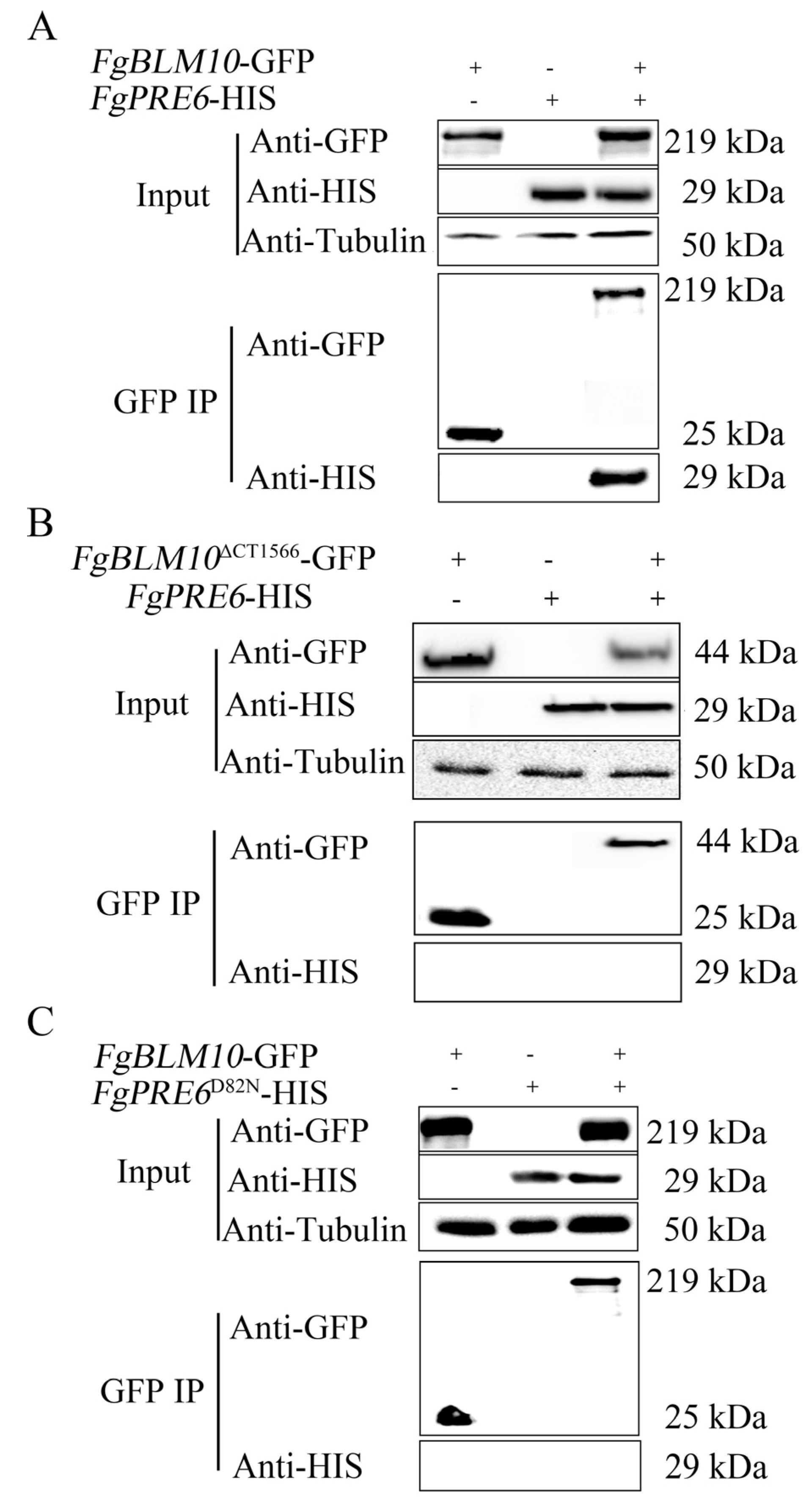 Ijms 23 10208 g006