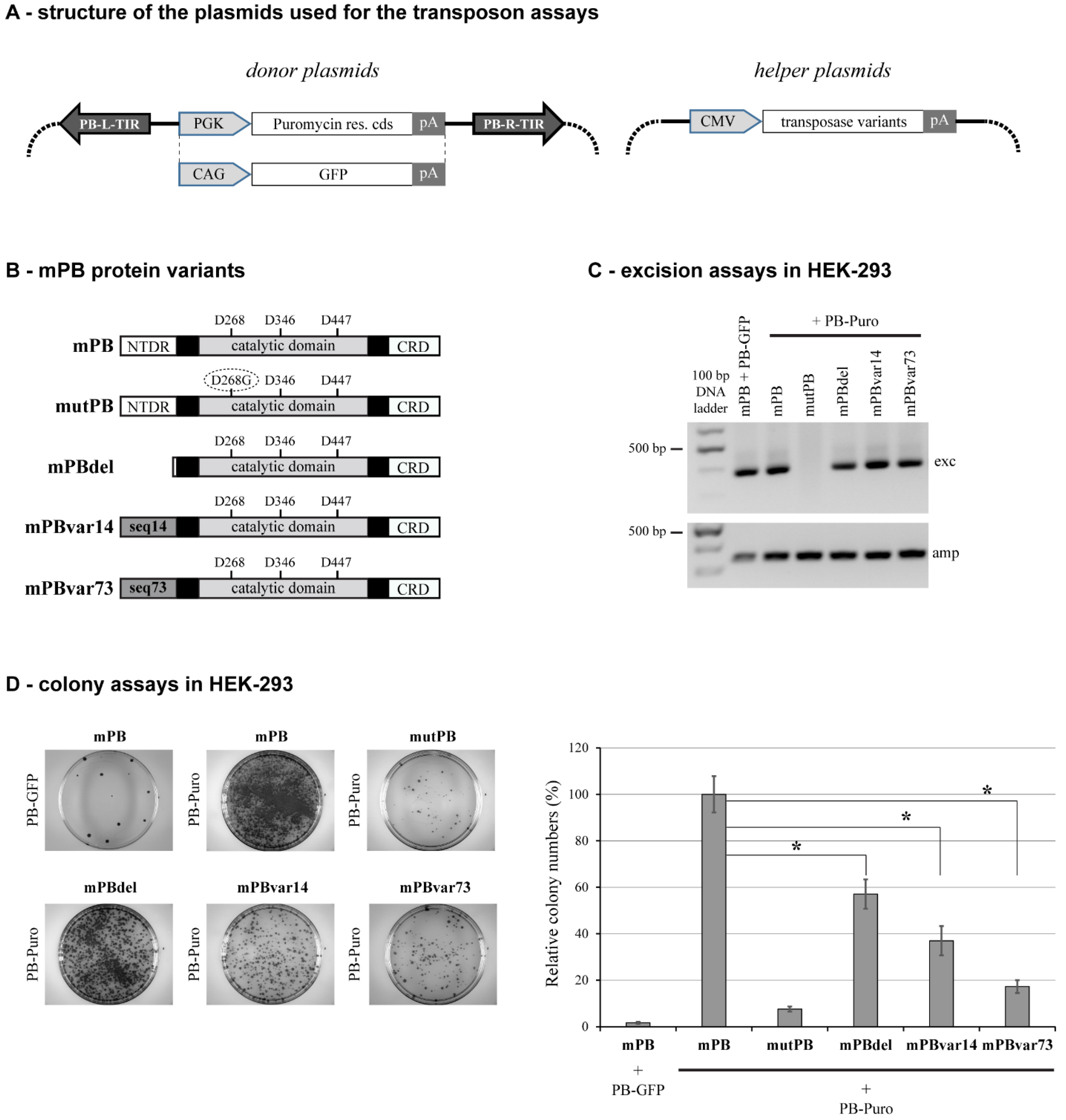 Ijms 23 10317 g001 Ijms 23 10317 g001