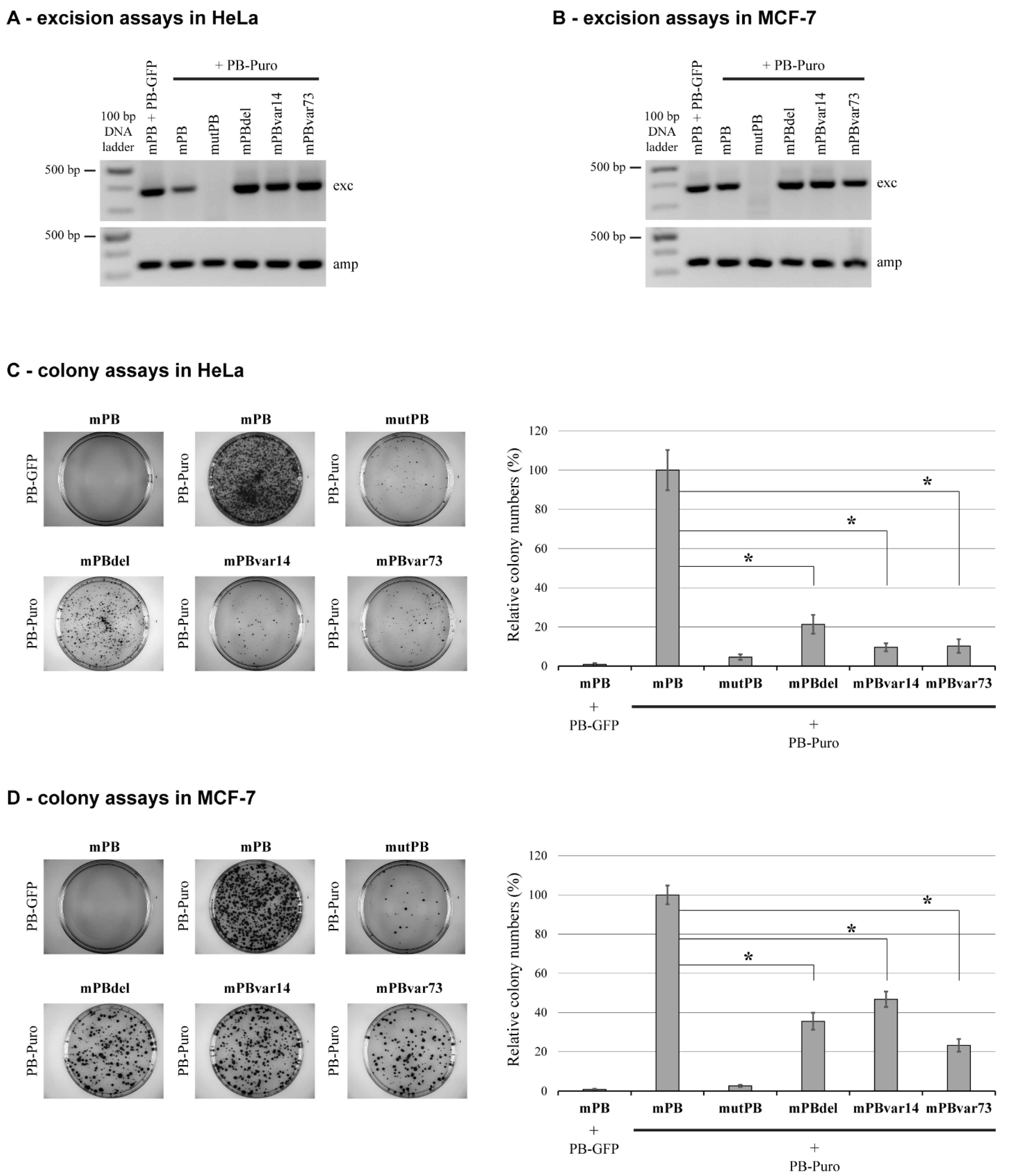 Ijms 23 10317 g002 Ijms 23 10317 g002