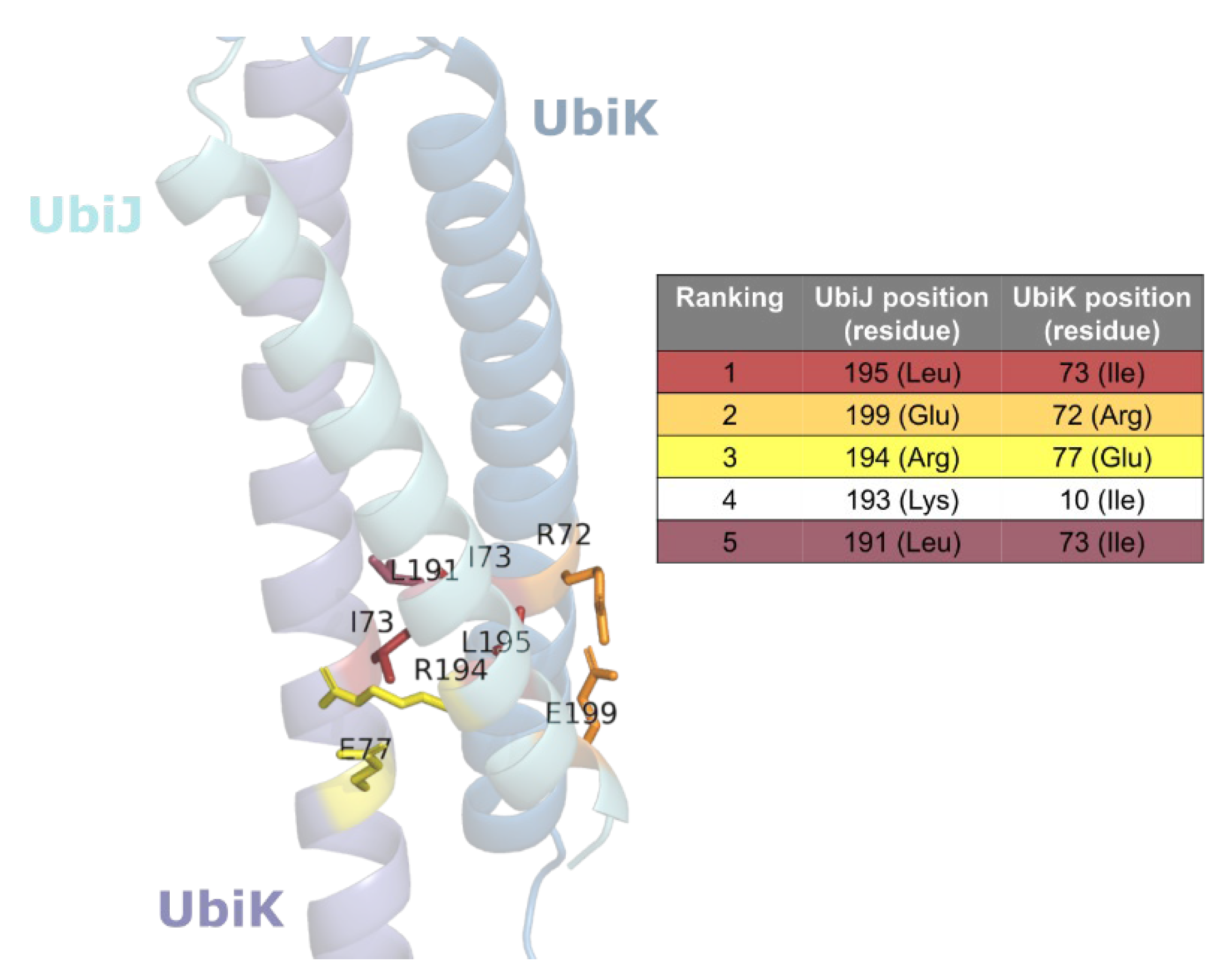 Ijms 23 10323 g005 Ijms 23 10323 g005