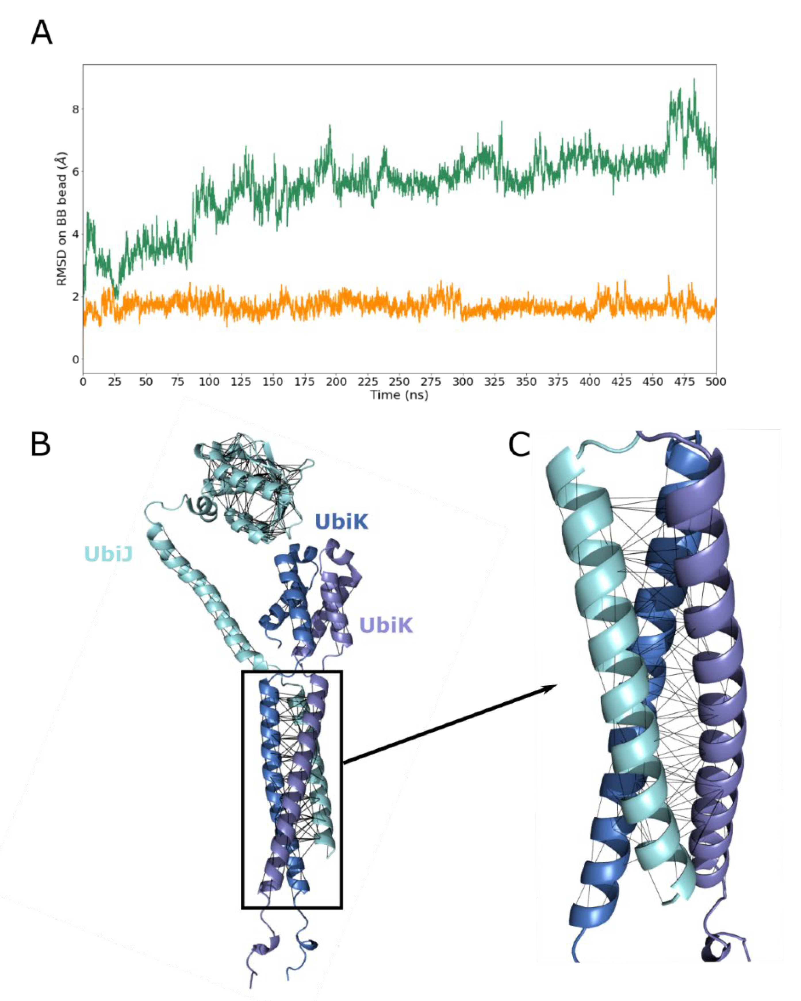Ijms 23 10323 g007 Ijms 23 10323 g007