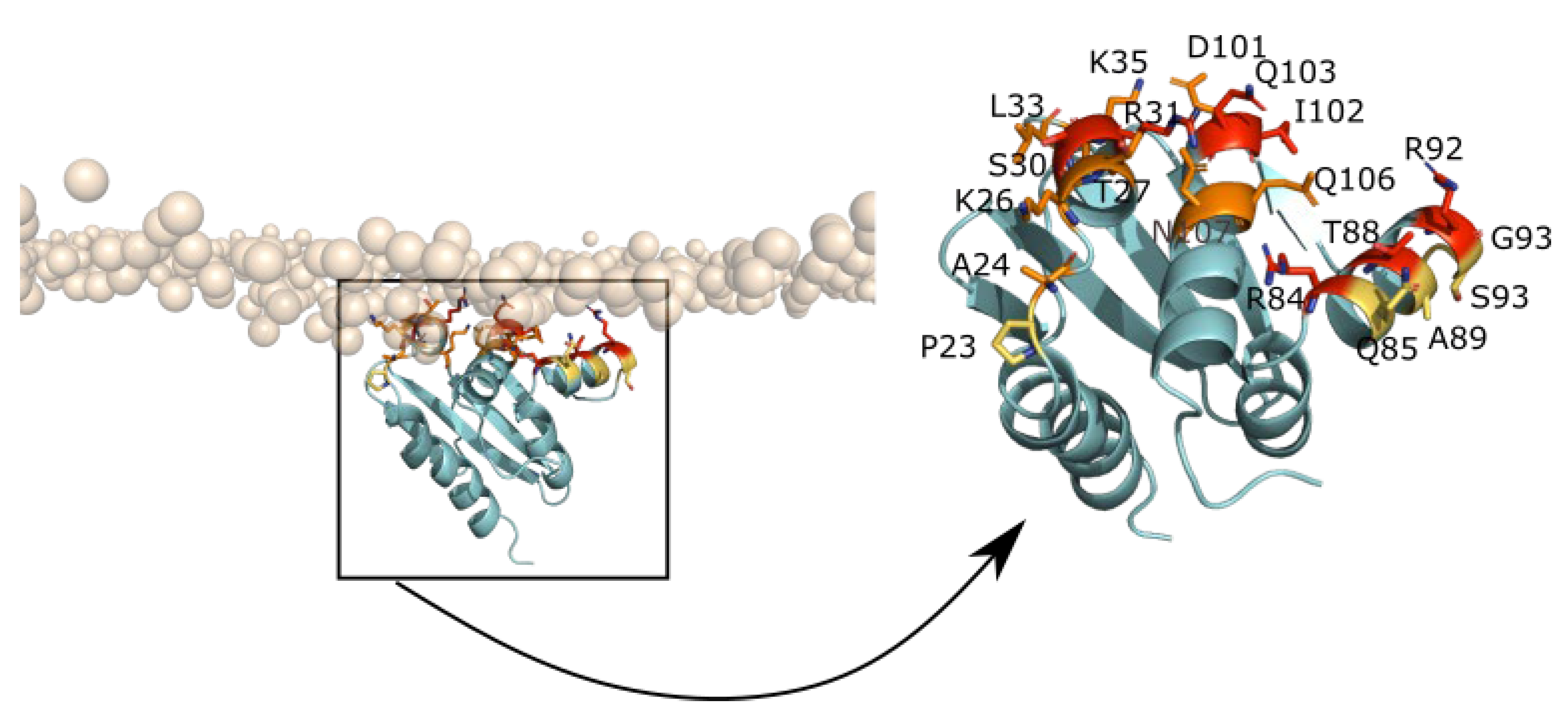 Ijms 23 10323 g009 Ijms 23 10323 g009