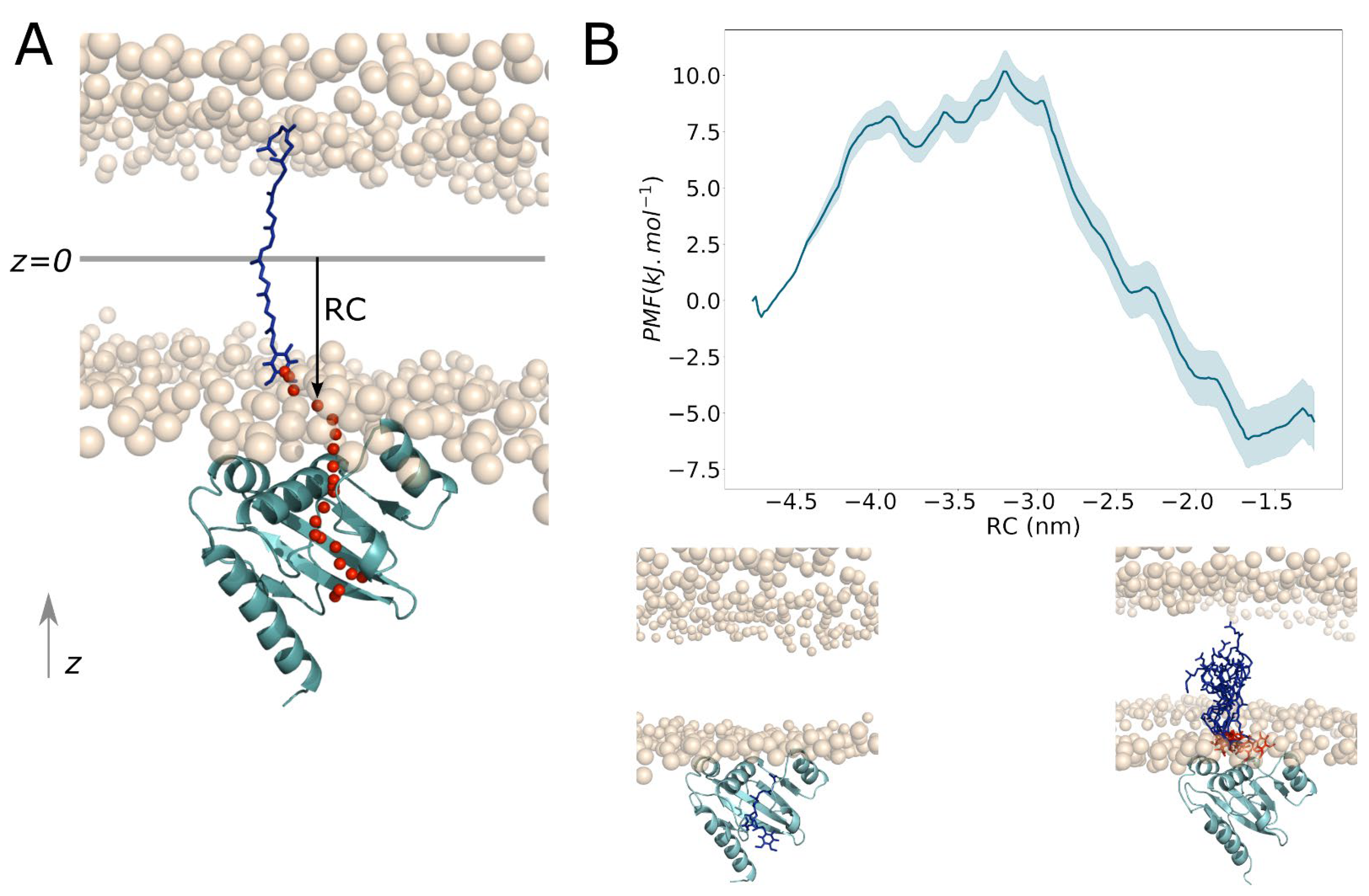Ijms 23 10323 g012 Ijms 23 10323 g012