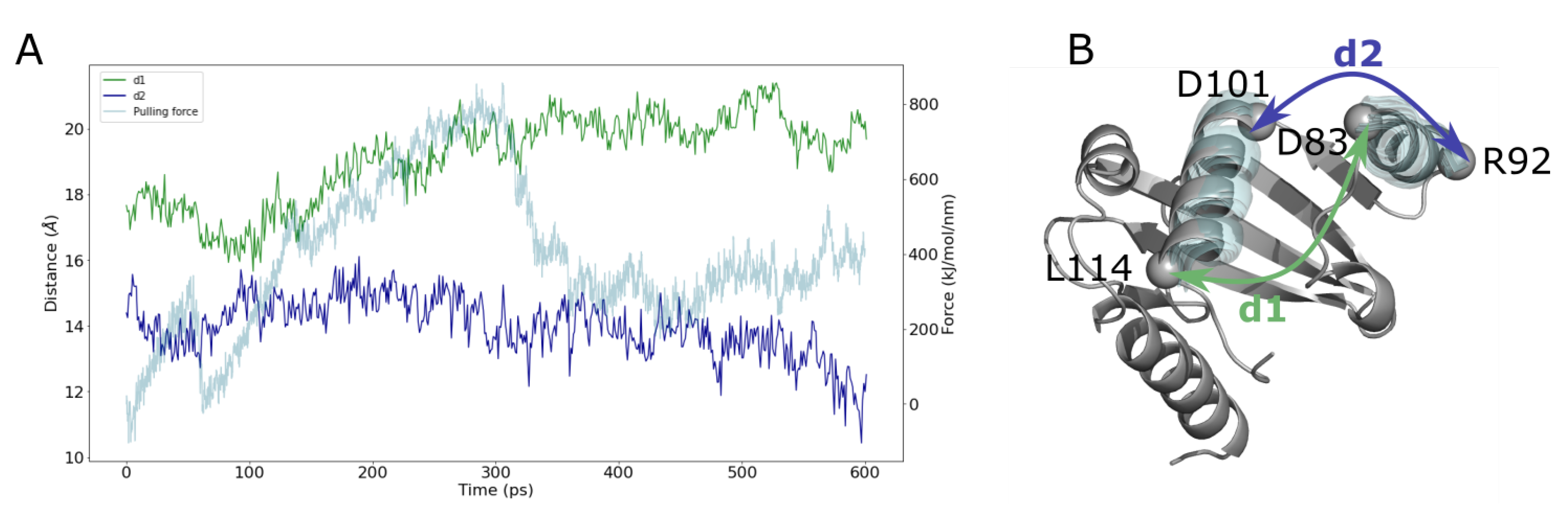 Ijms 23 10323 g013 Ijms 23 10323 g013