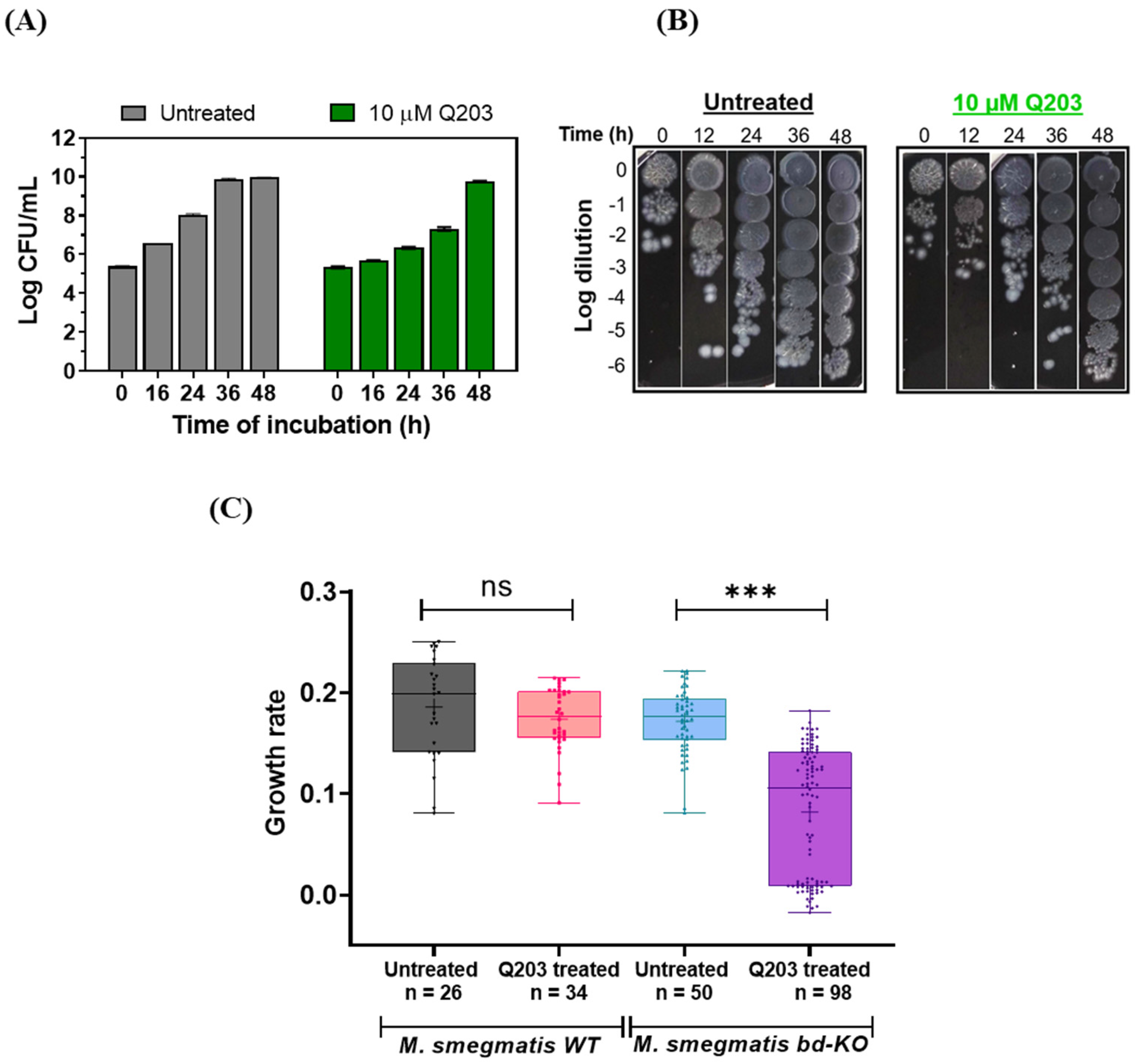 Ijms 23 10331 g003 Ijms 23 10331 g003