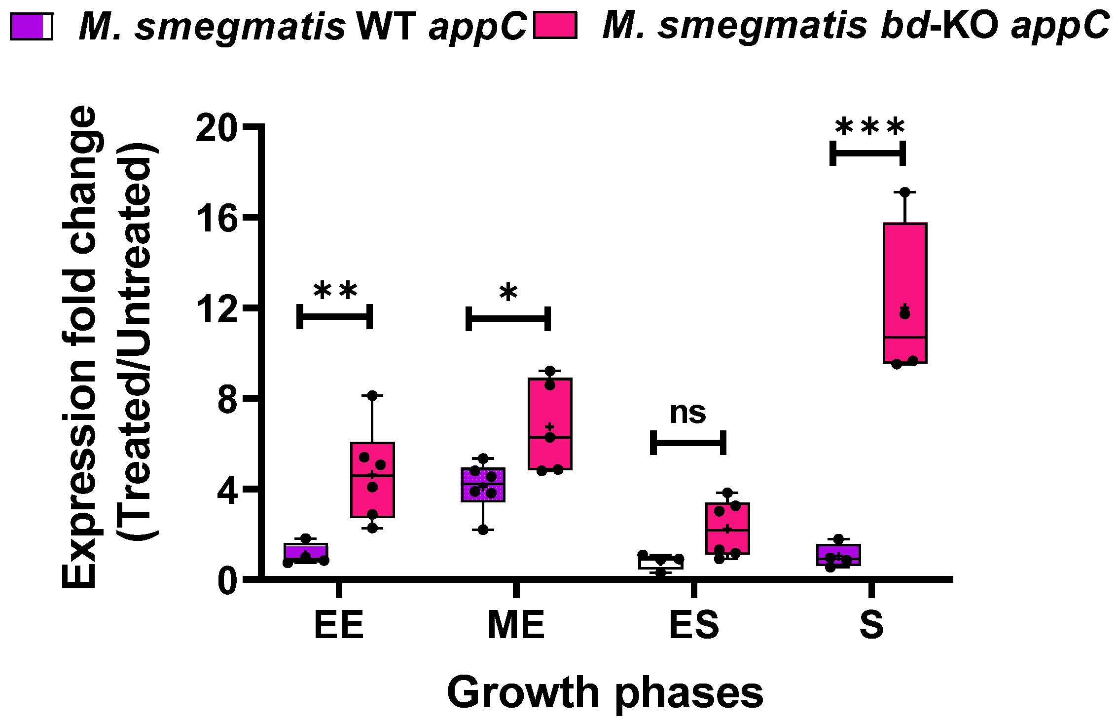 Ijms 23 10331 g006 Ijms 23 10331 g006