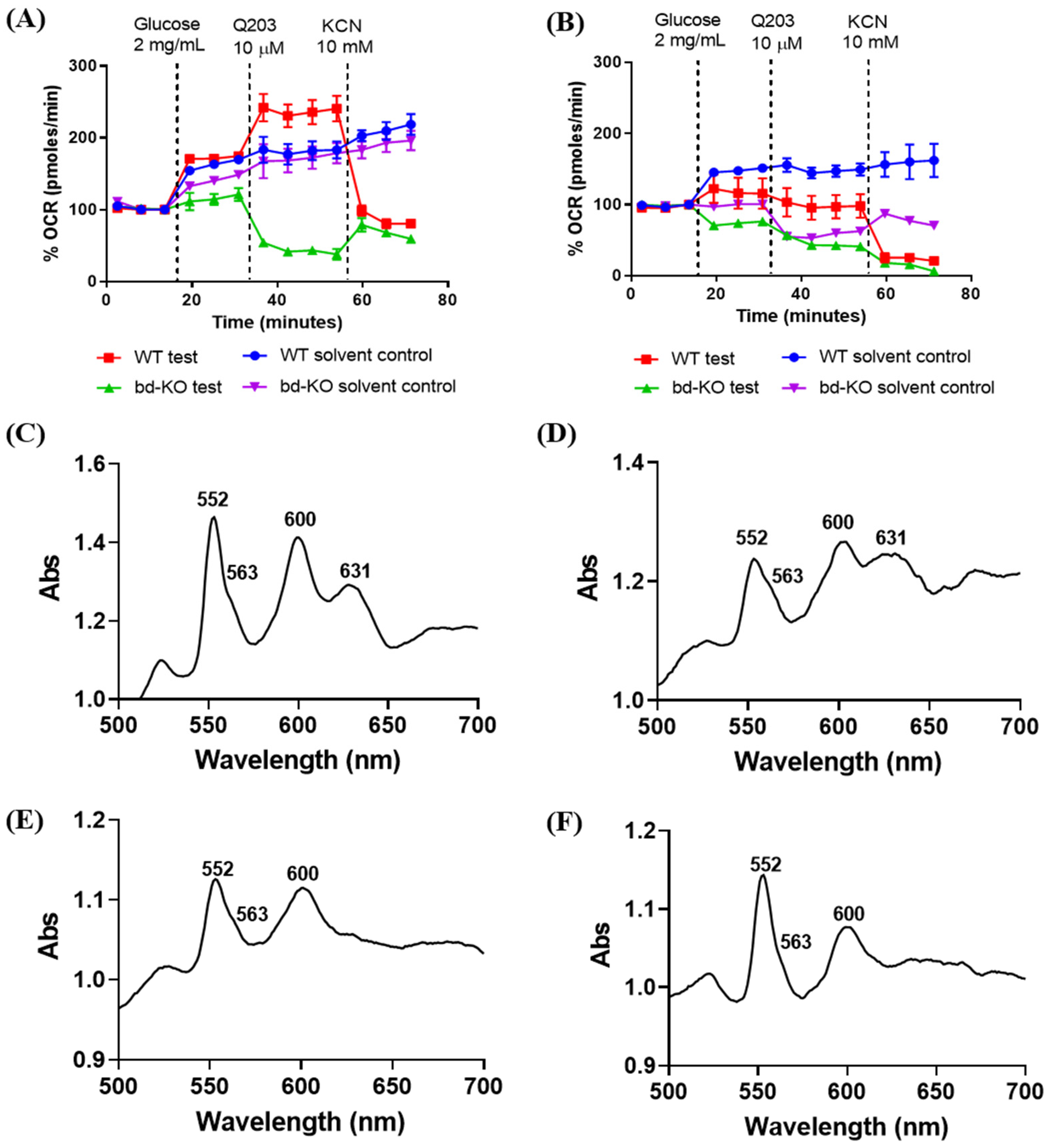 Ijms 23 10331 g007 Ijms 23 10331 g007