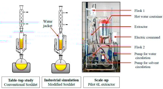 Ijms 23 10334 g006 550