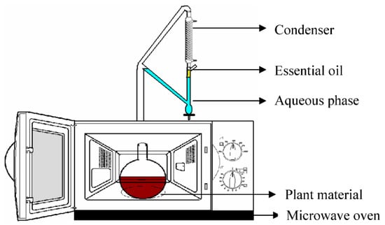 Ijms 23 10334 g007 550