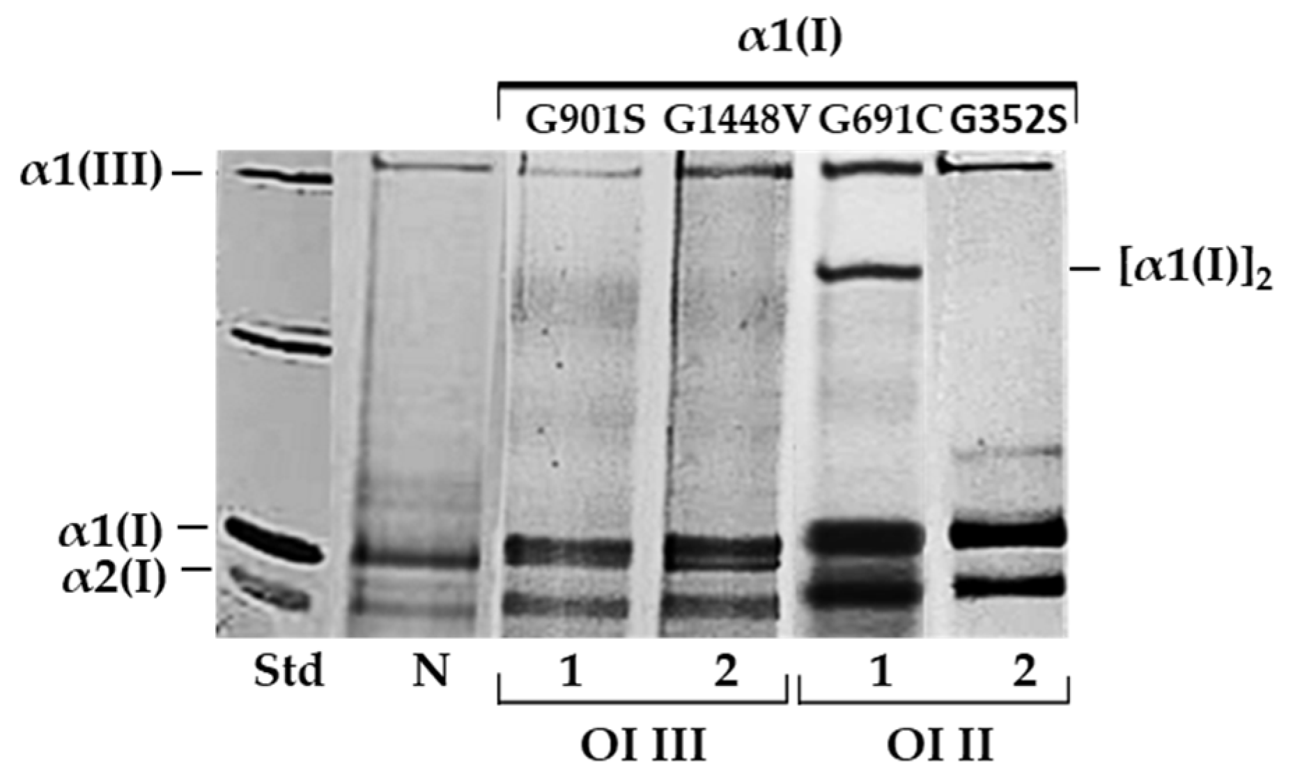 Ijms 23 10341 g001 Ijms 23 10341 g001